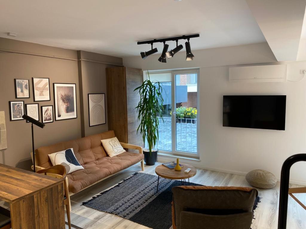 Shi Zi Junior Suite - Image 3