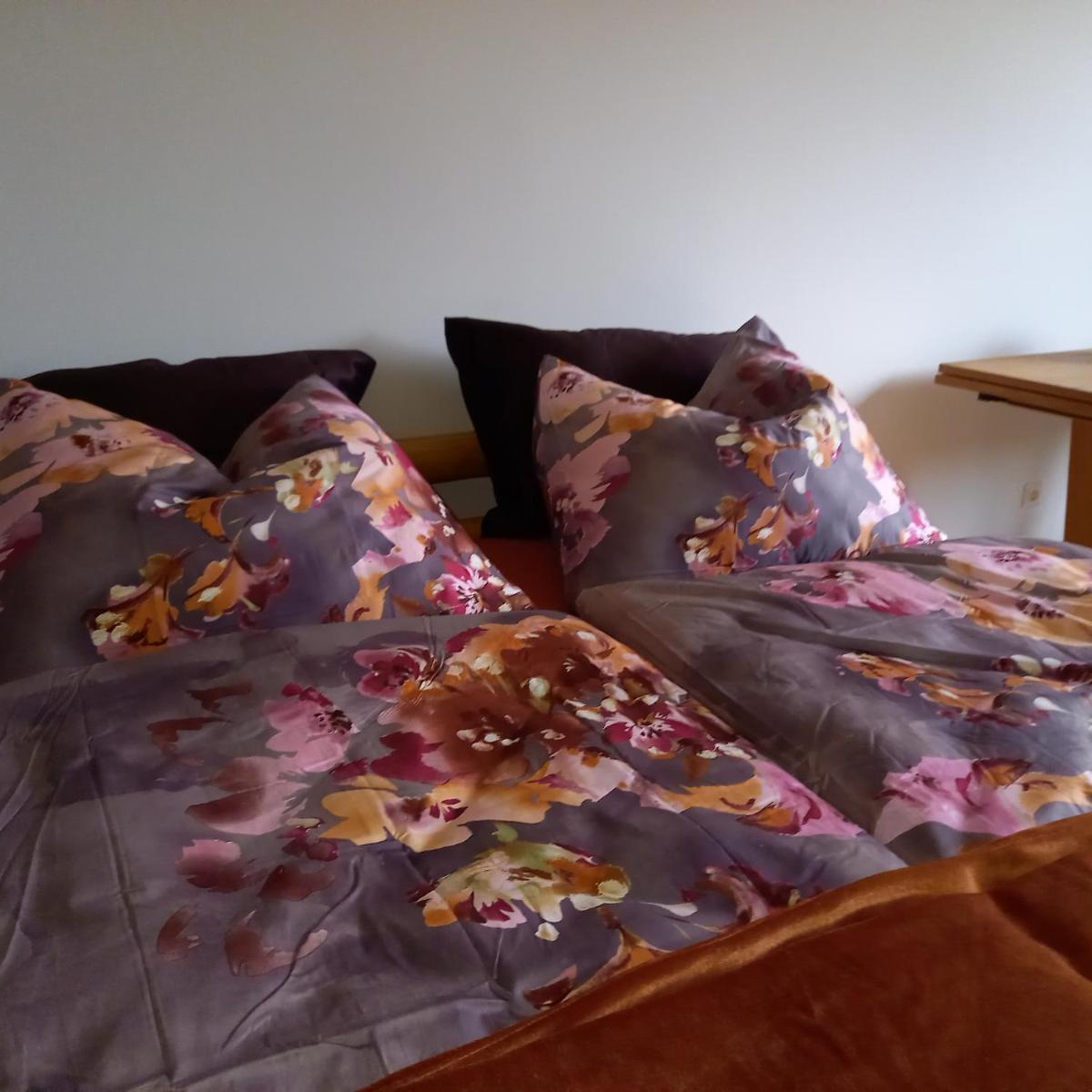 Riccis 47m2 bamboo flat view 5