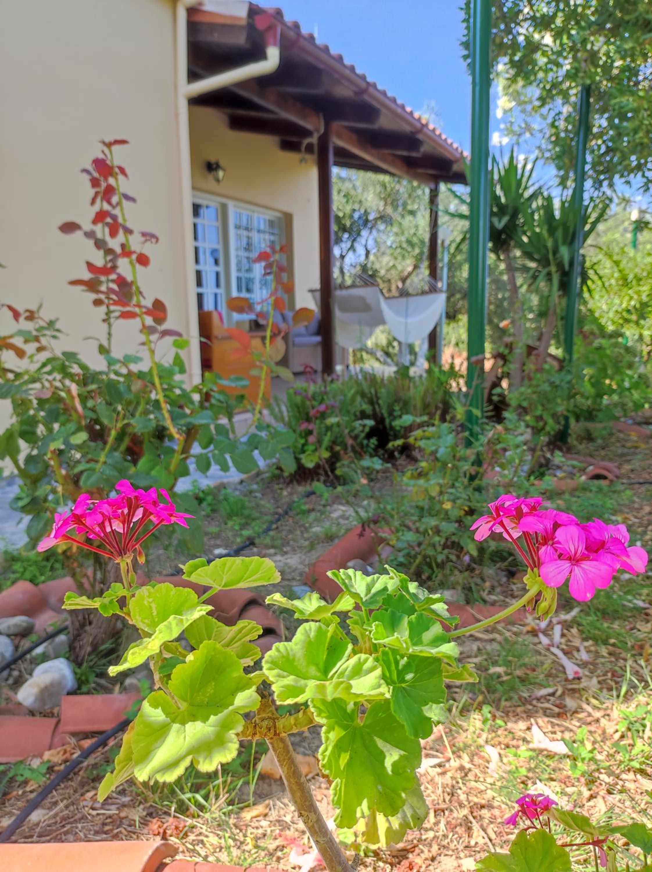 Anatolika Stamatis Paradise