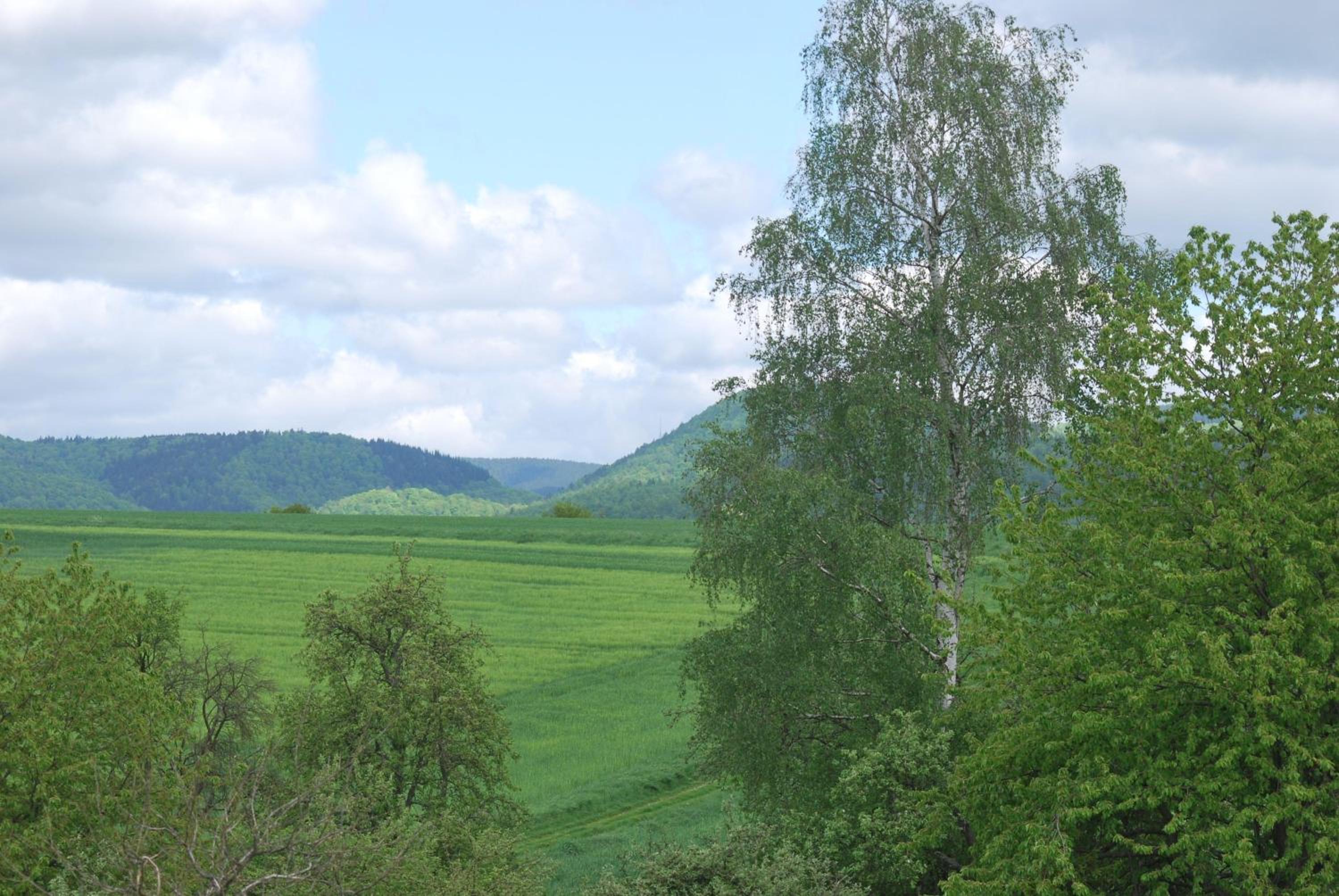 Ferienwohnung-Stricker-Bad-Sachsa