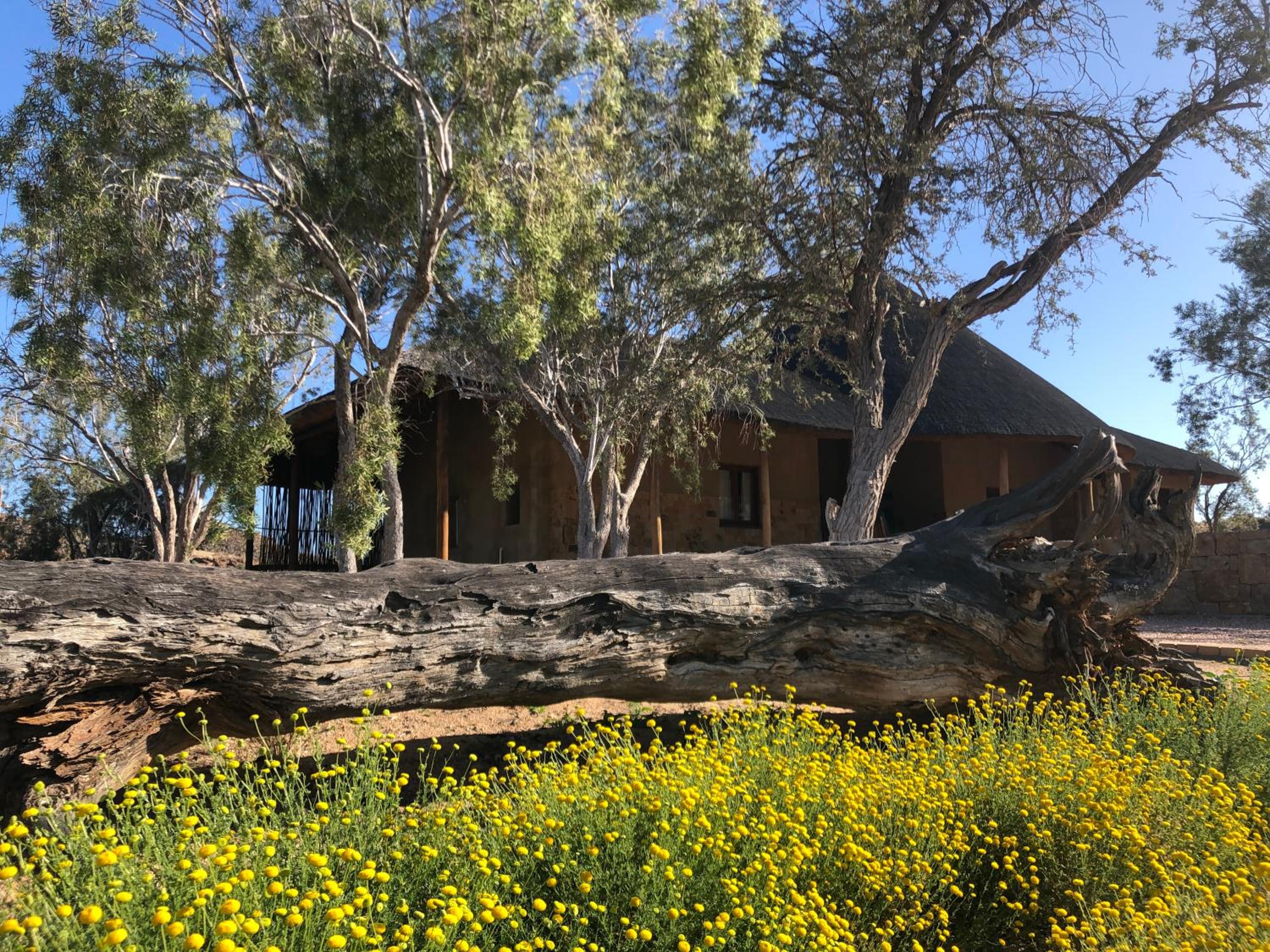 Daberas Guest Farm