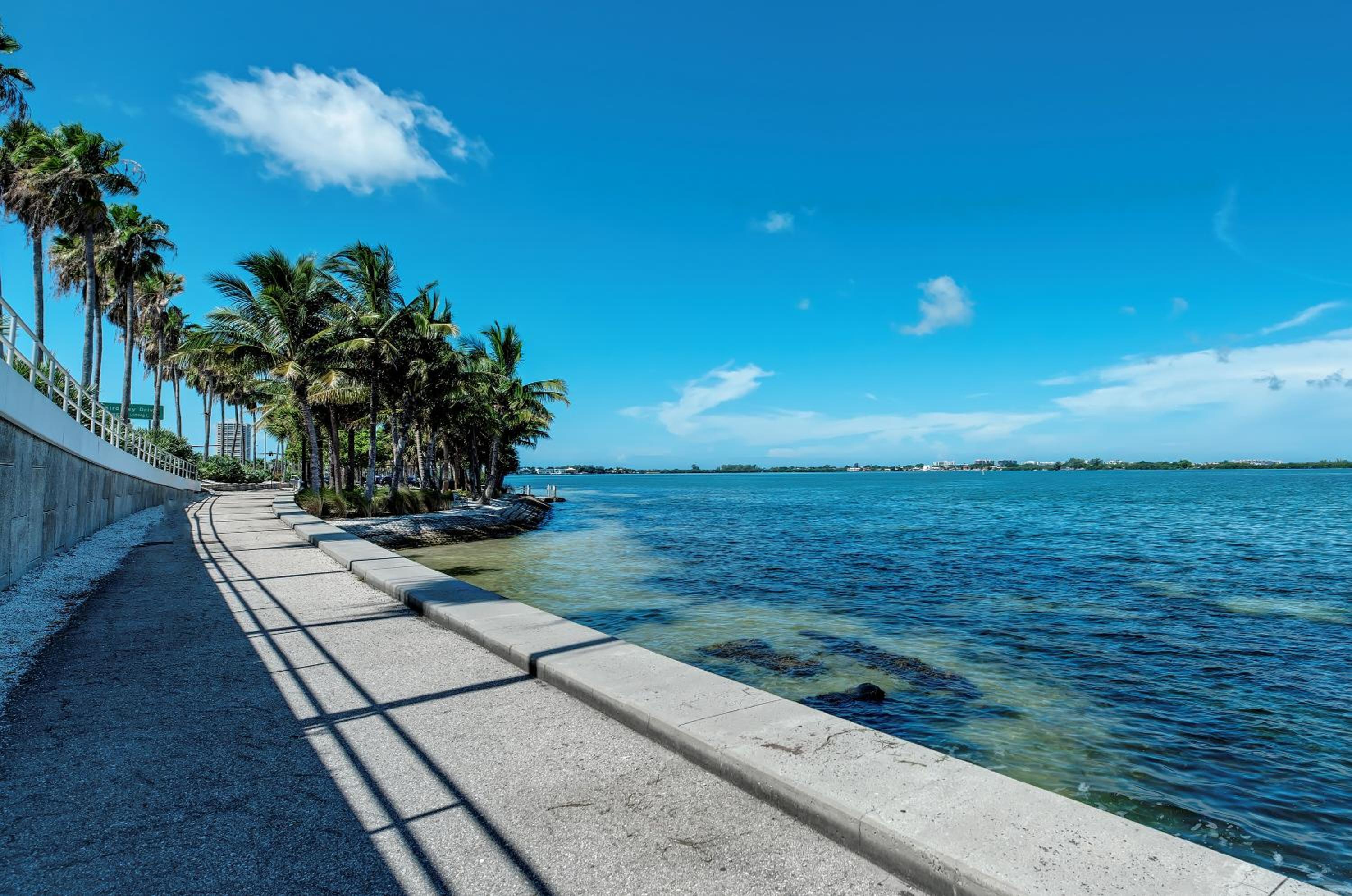 Longboat Key Cedars Beach House-Pet Friendly-2 Minute To The Beach - Property Image 102
