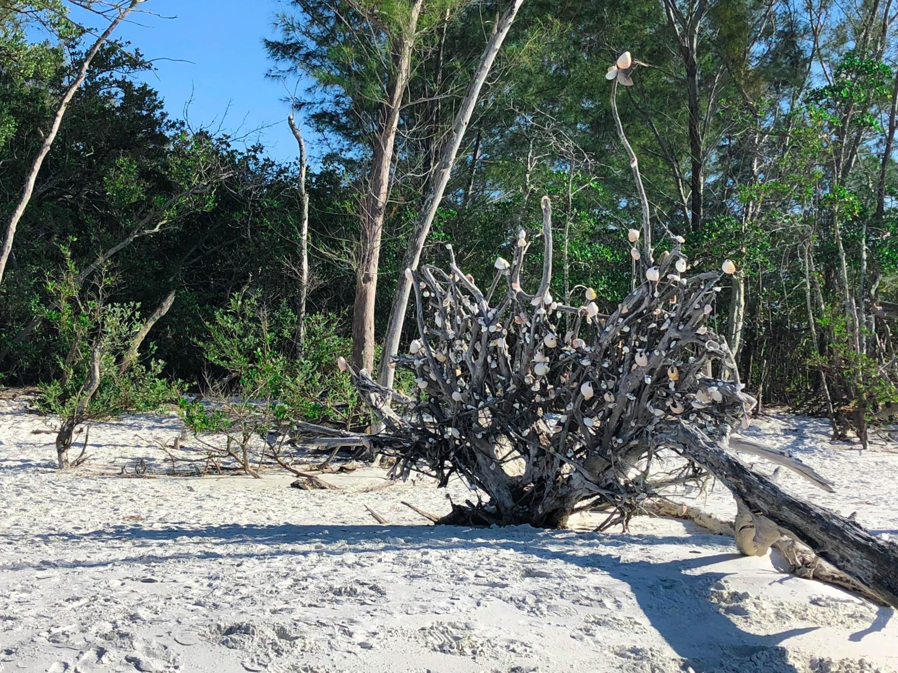 Longboat Key Cedars Beach House-Pet Friendly-2 Minute To The Beach - Property Image 11