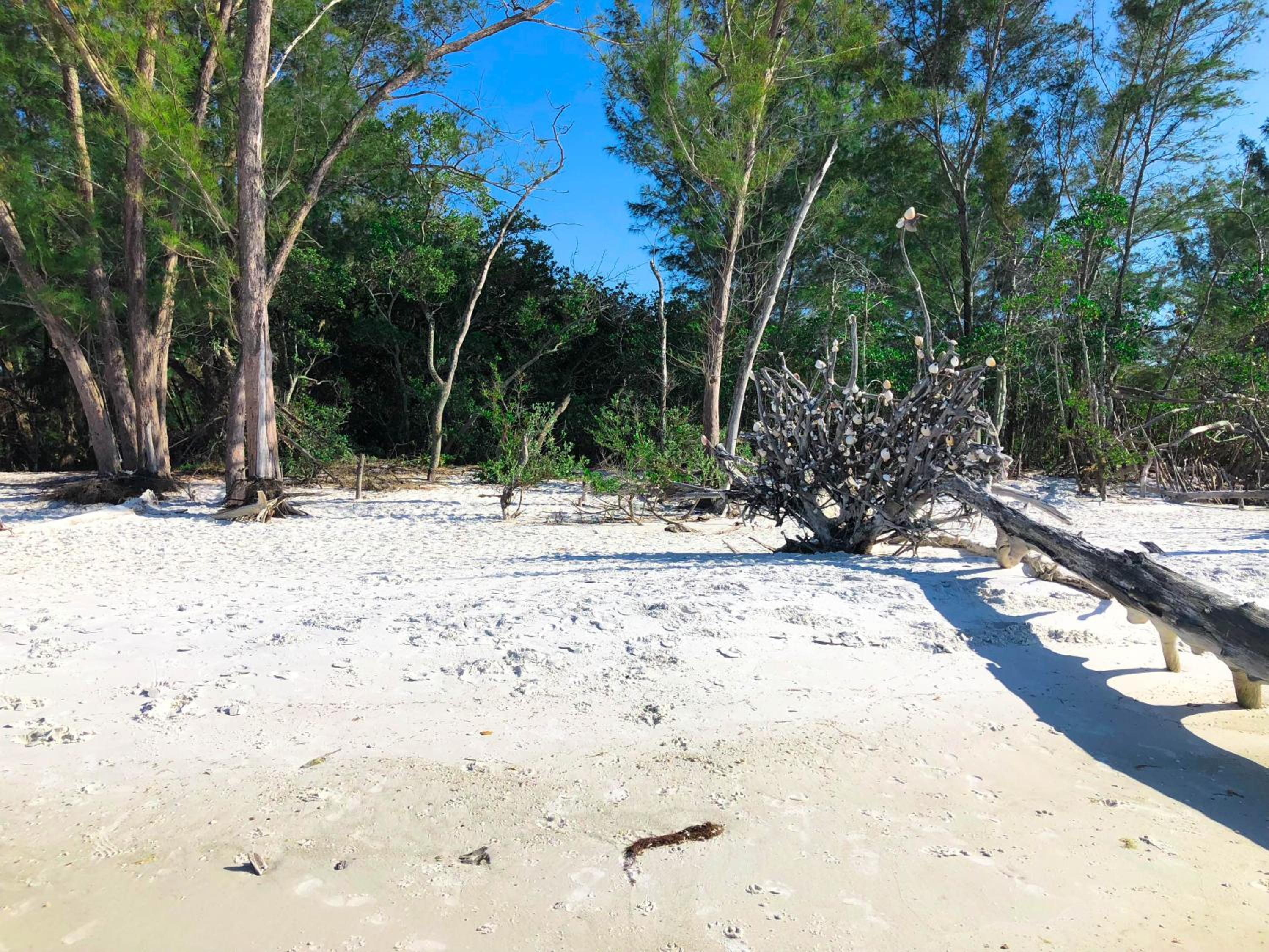 Longboat Key Cedars Beach House-Pet Friendly-2 Minute To The Beach - Property Image 12