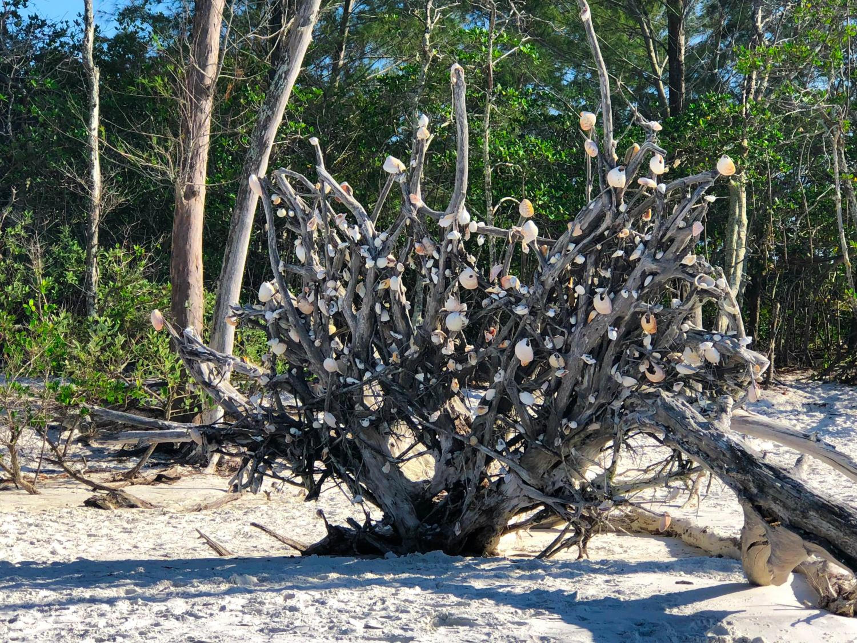 Longboat Key Cedars Beach House-Pet Friendly-2 Minute To The Beach - Property Image 13