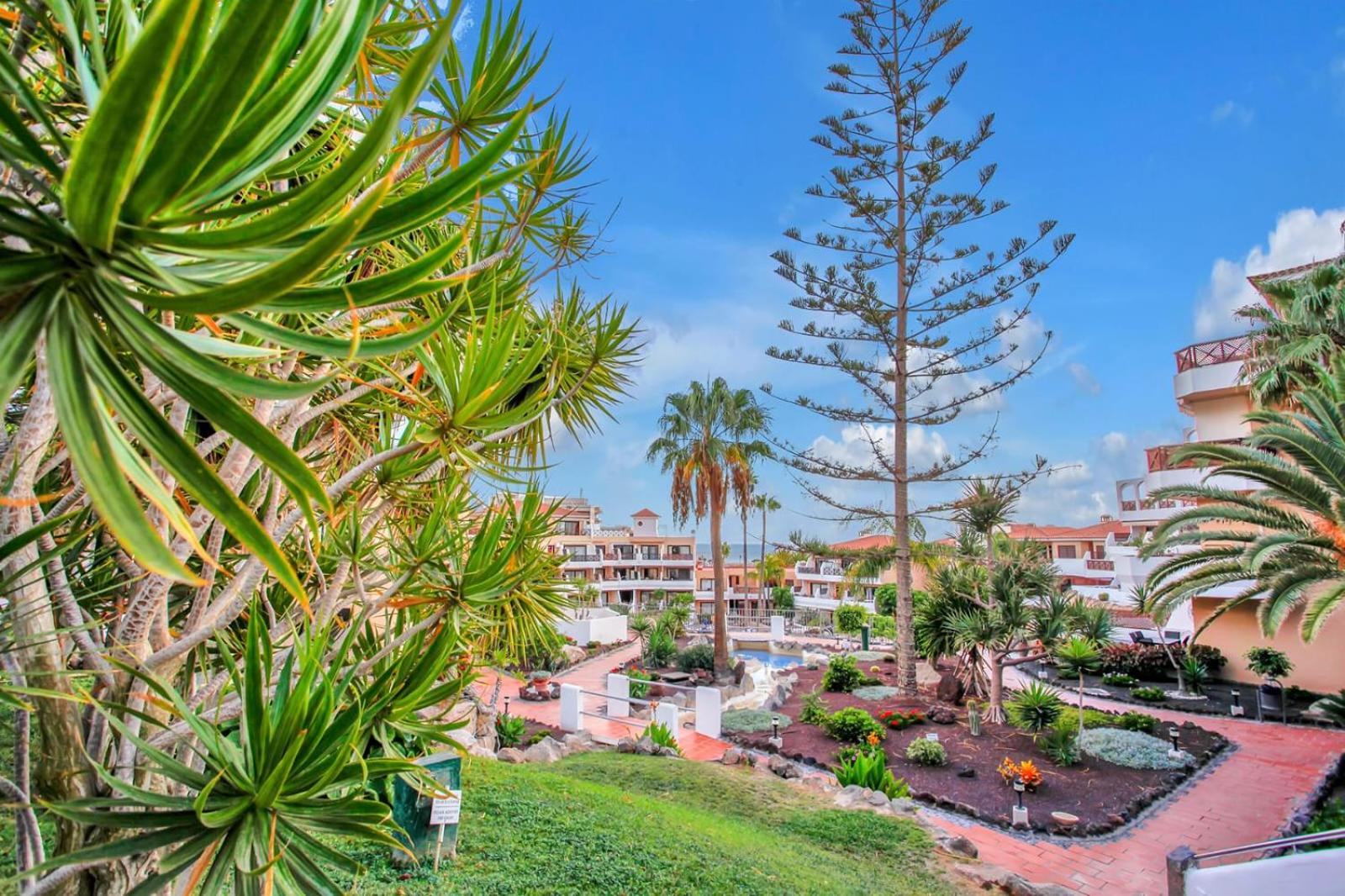 Apartment in Albatros complex