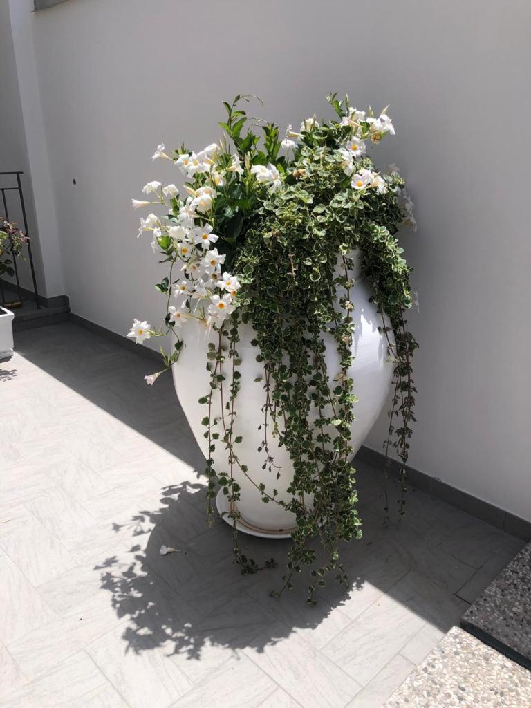 Il Fiore Bianco view 3