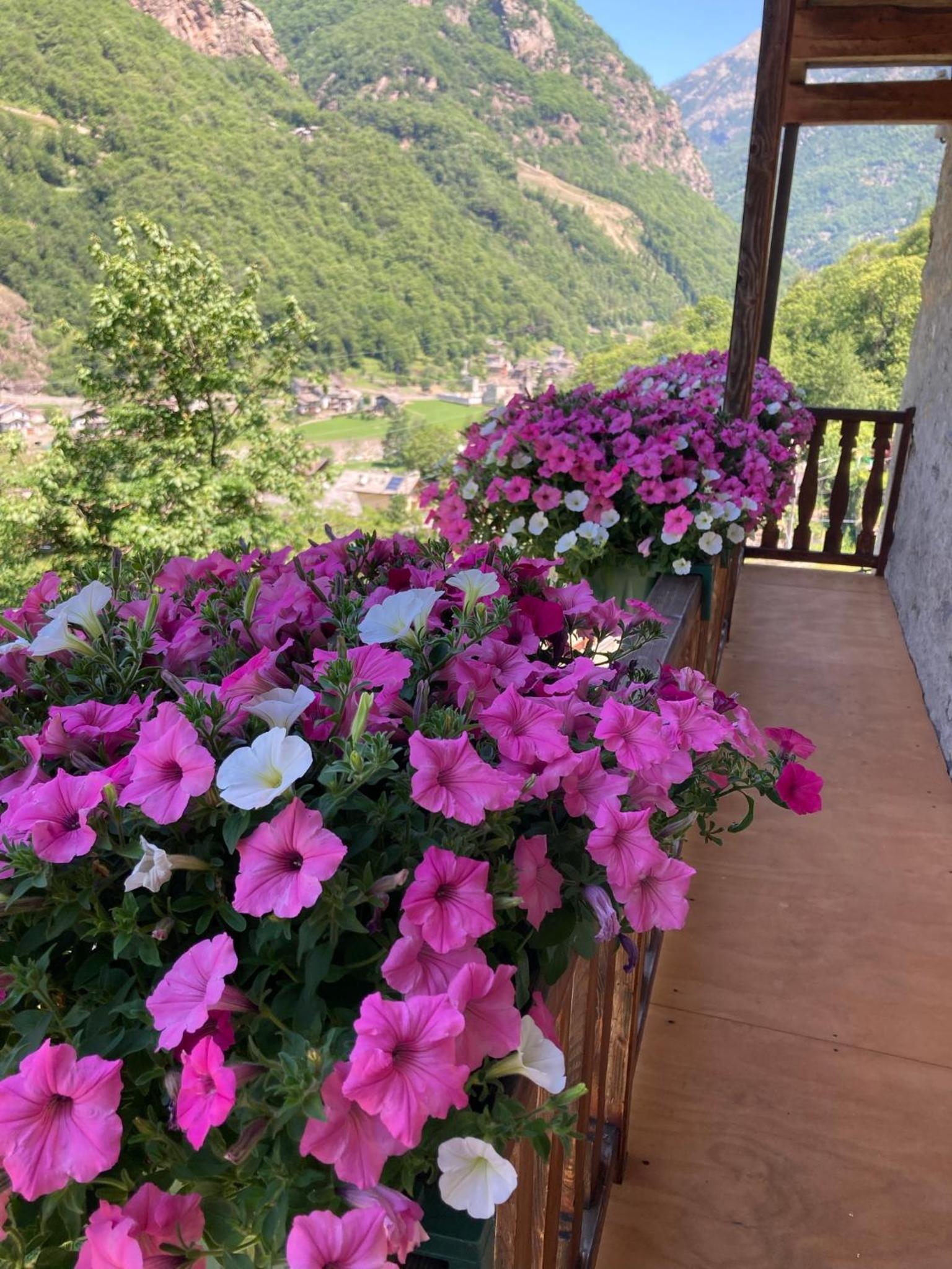 B&B Maison Vallomy