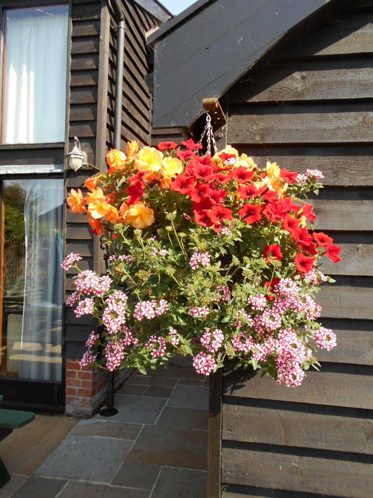 Photo 26