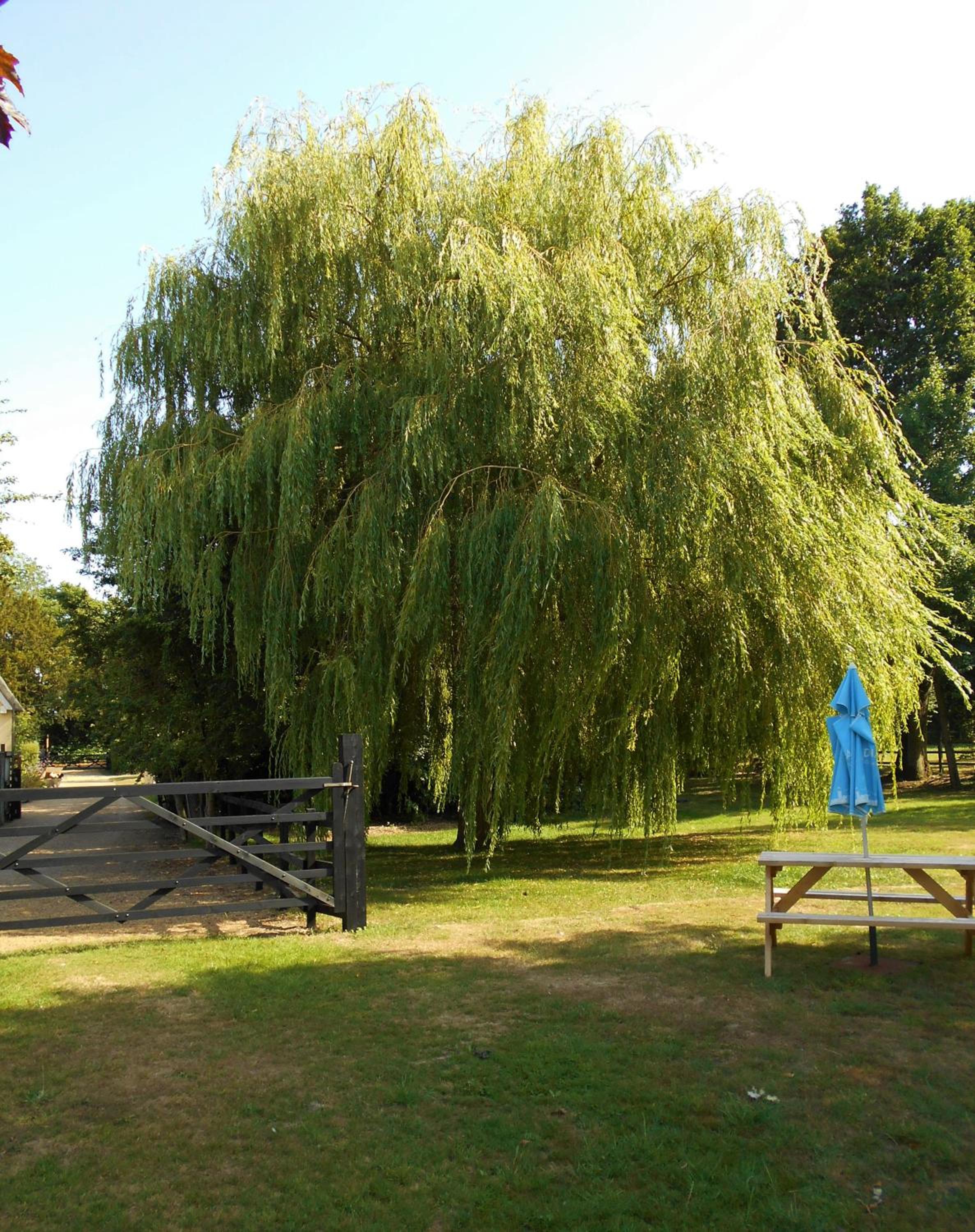 Brundish Suffolk Large 4-Bed Barn Stunning! view 2