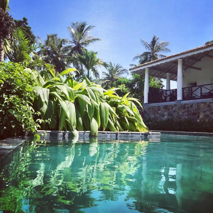 ETAMBA HOUSE view 3