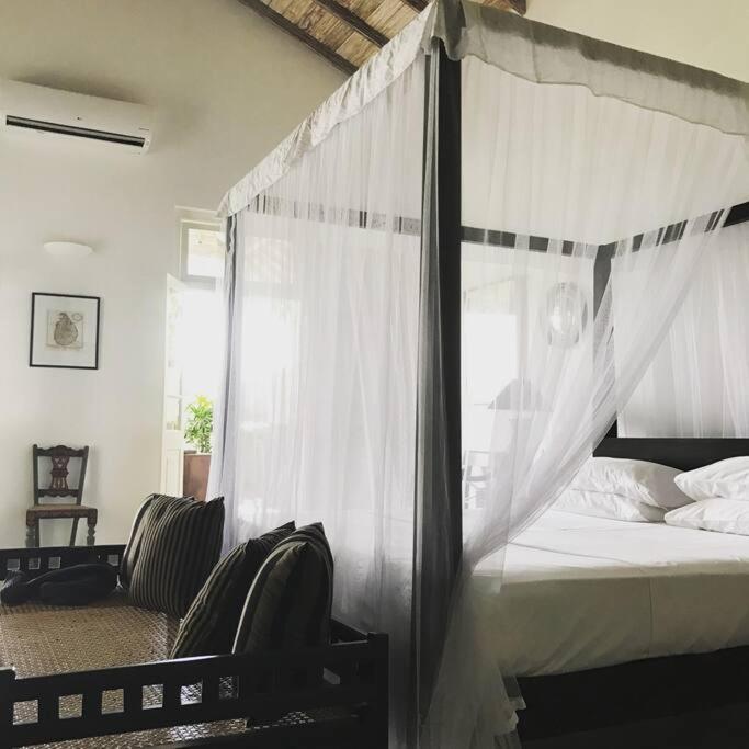 ETAMBA HOUSE view 5