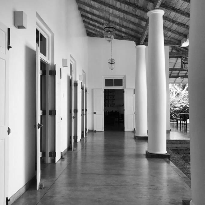 Photo 57