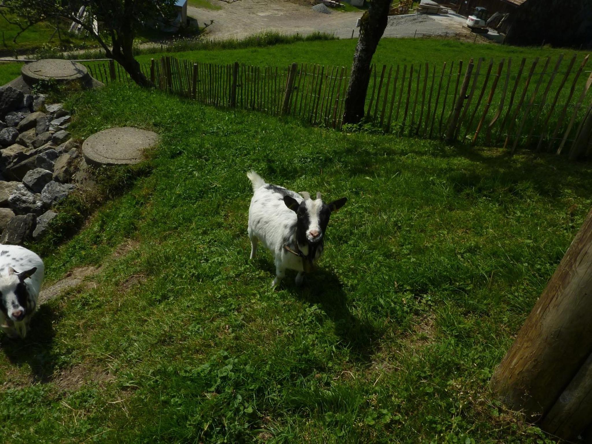 Photo 27