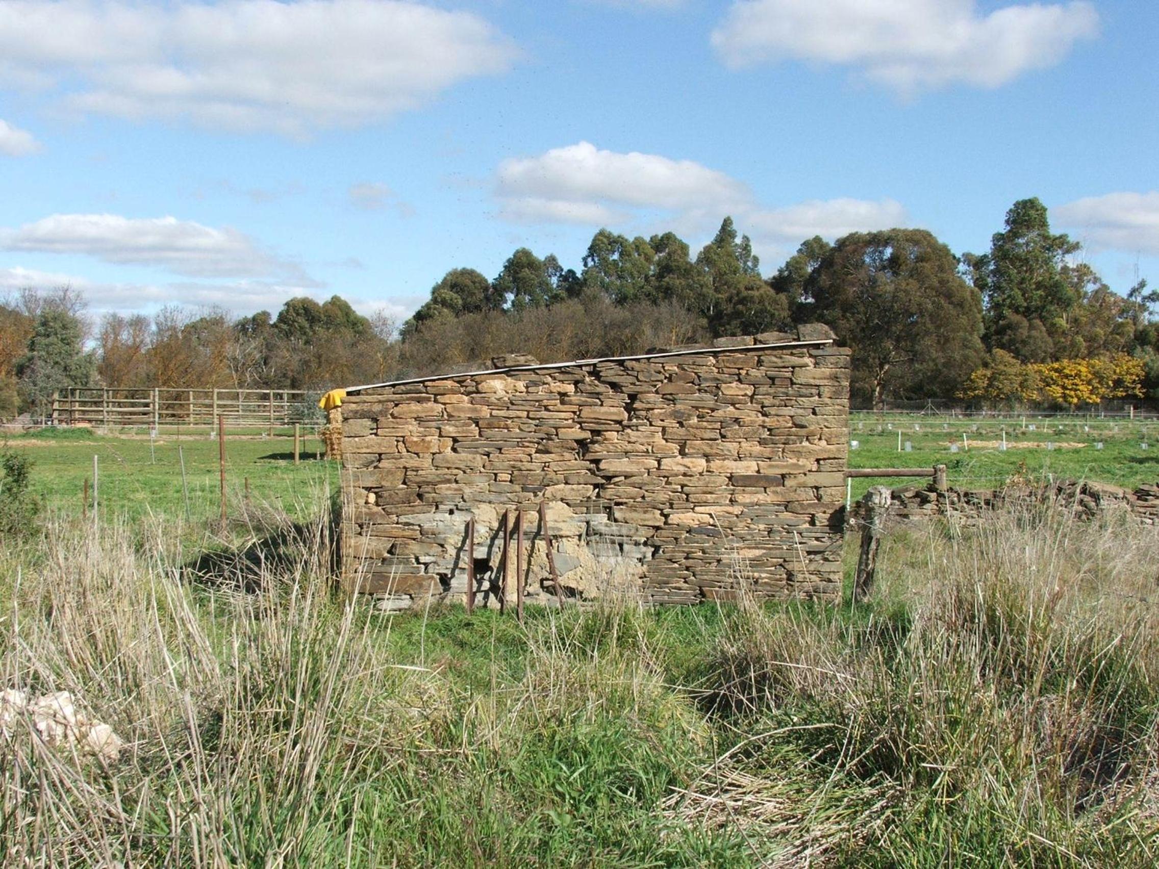 Photo 39