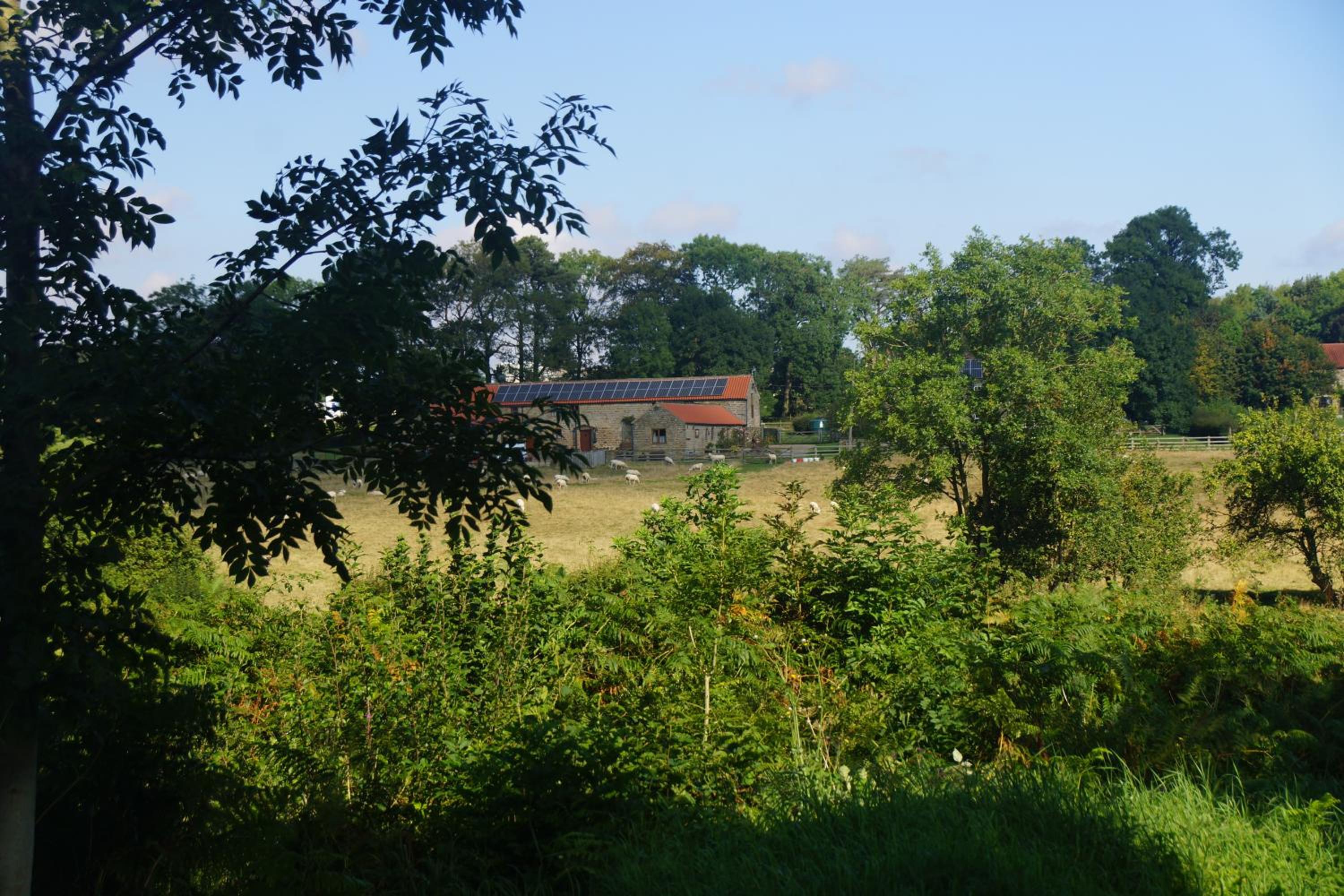 Photo 25
