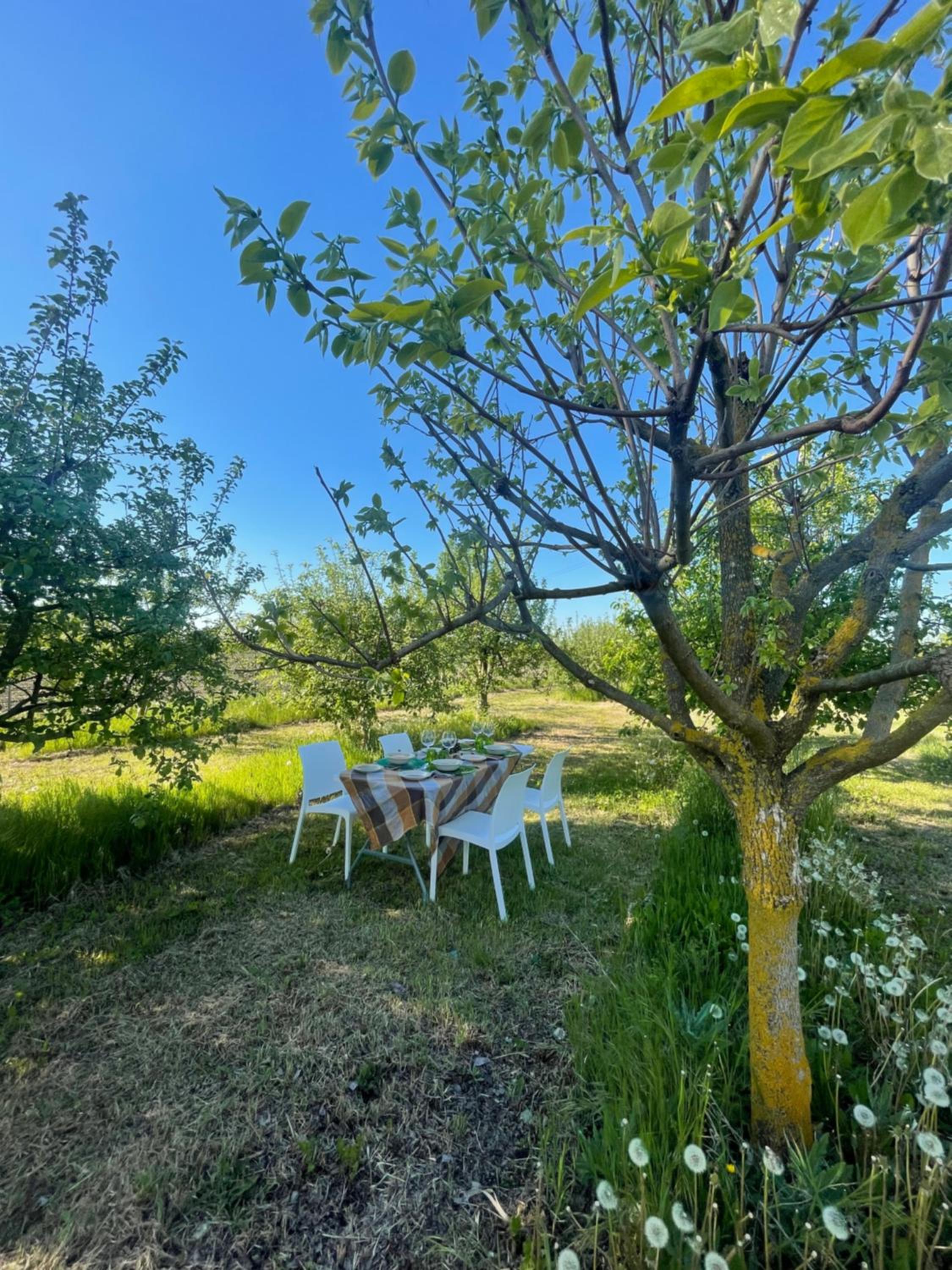 MalaMù BnB Eventi, photo 78