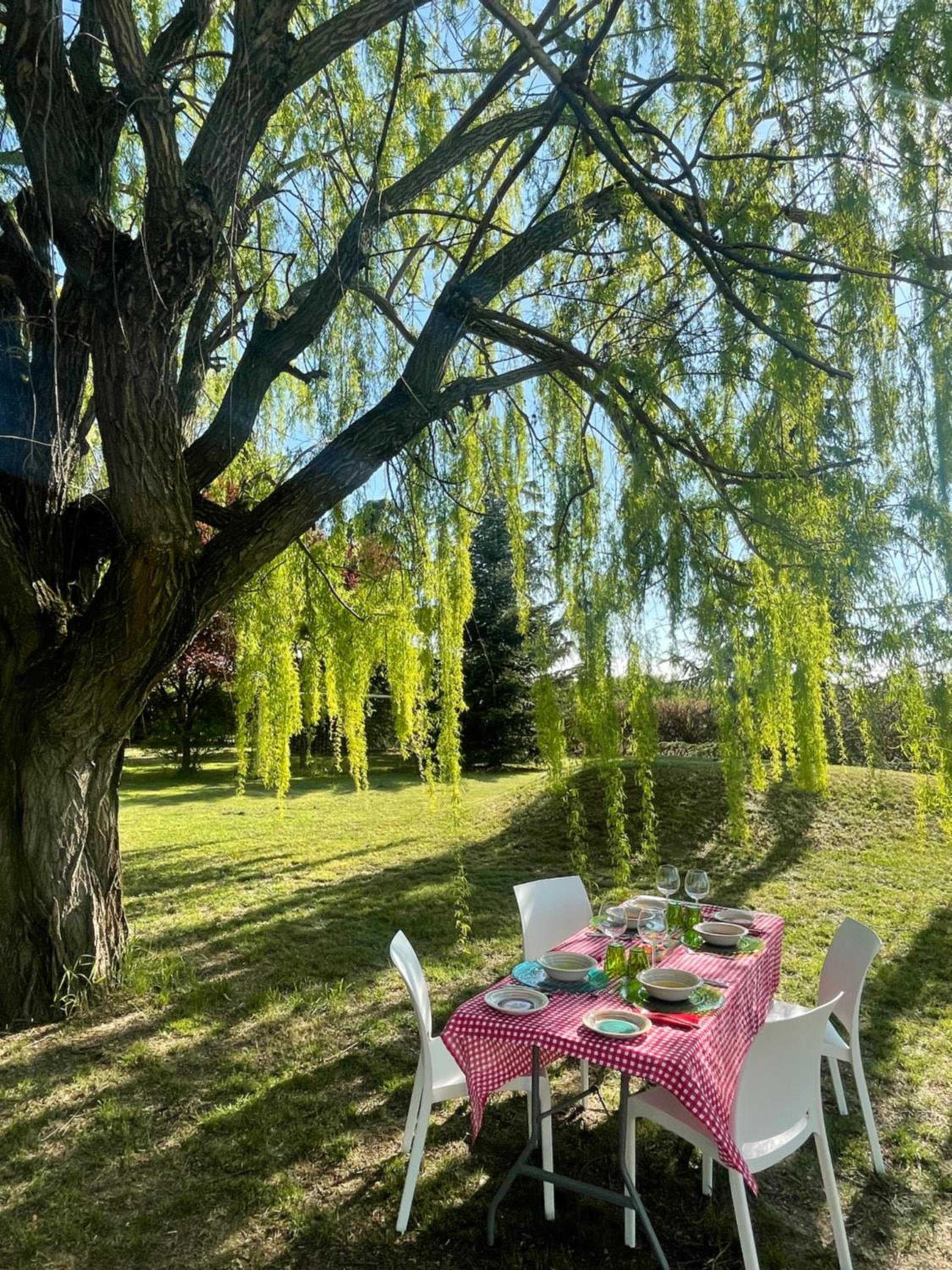 MalaMù BnB Eventi, photo 43