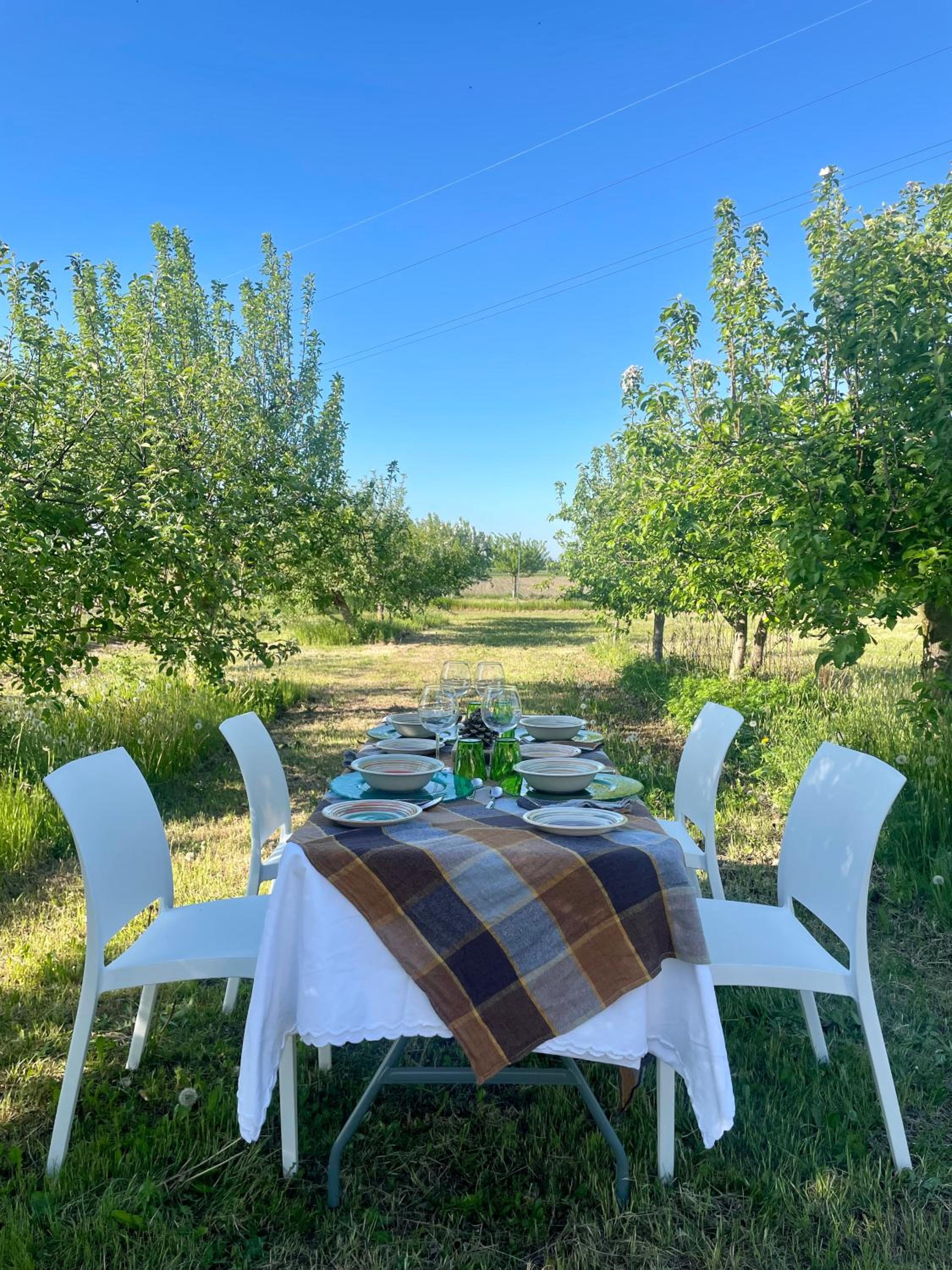 MalaMù BnB Eventi, photo 29