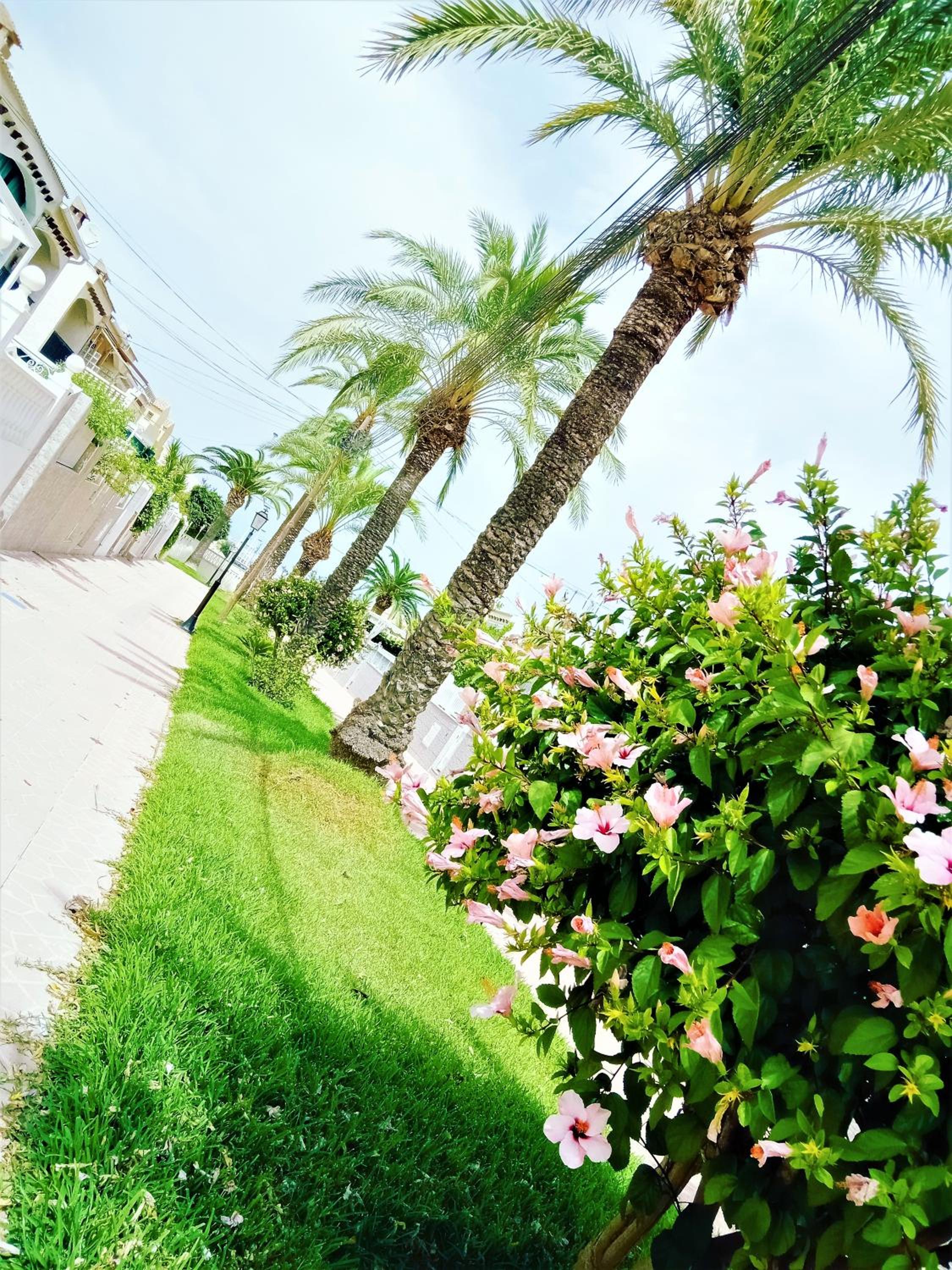 Casa Ilda (Gran Alacant) view 2