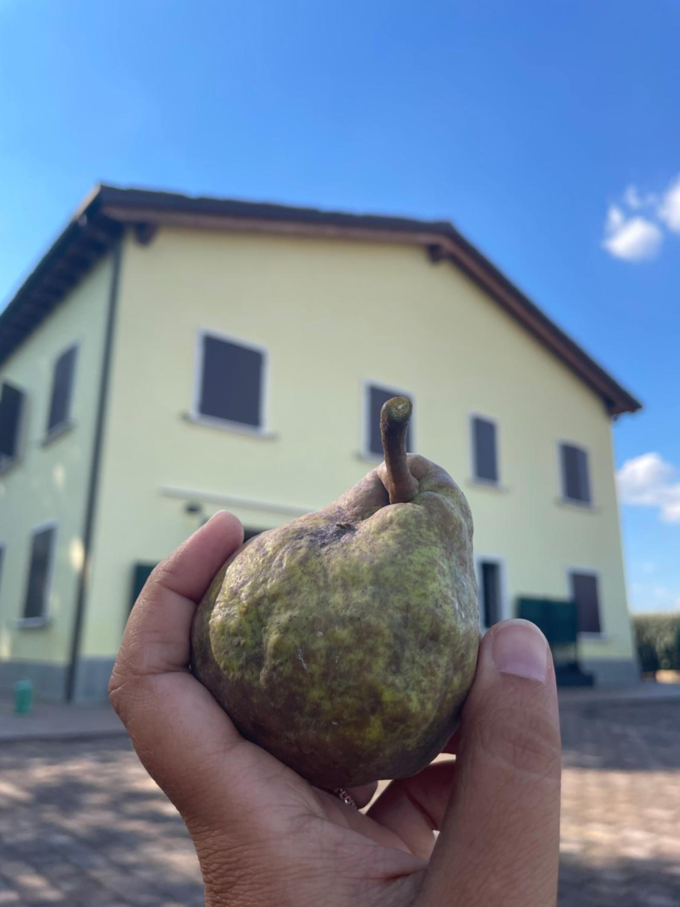 MalaMù BnB Eventi, photo 25