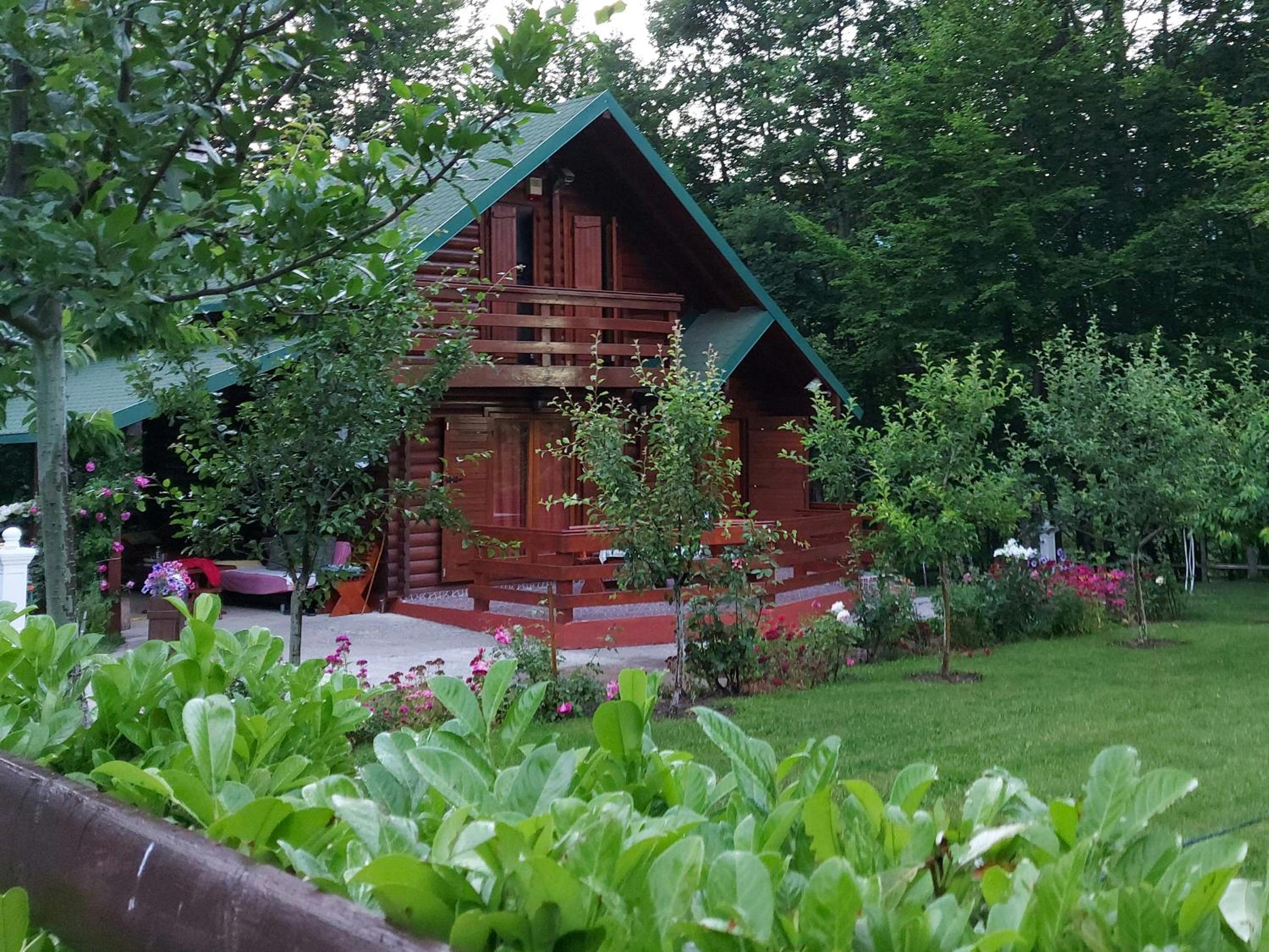 Photo 17