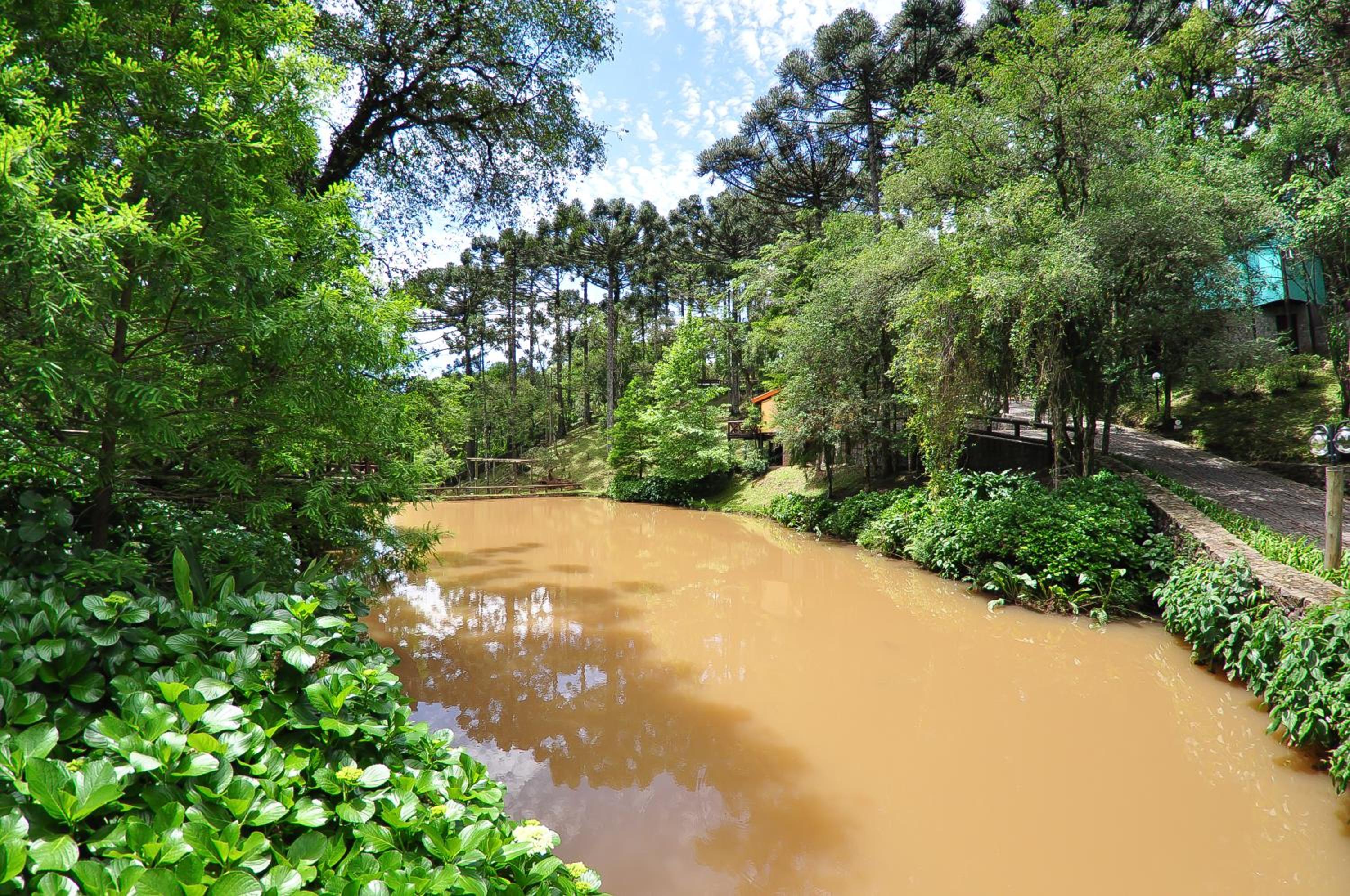 Villa Flor Ecoresort