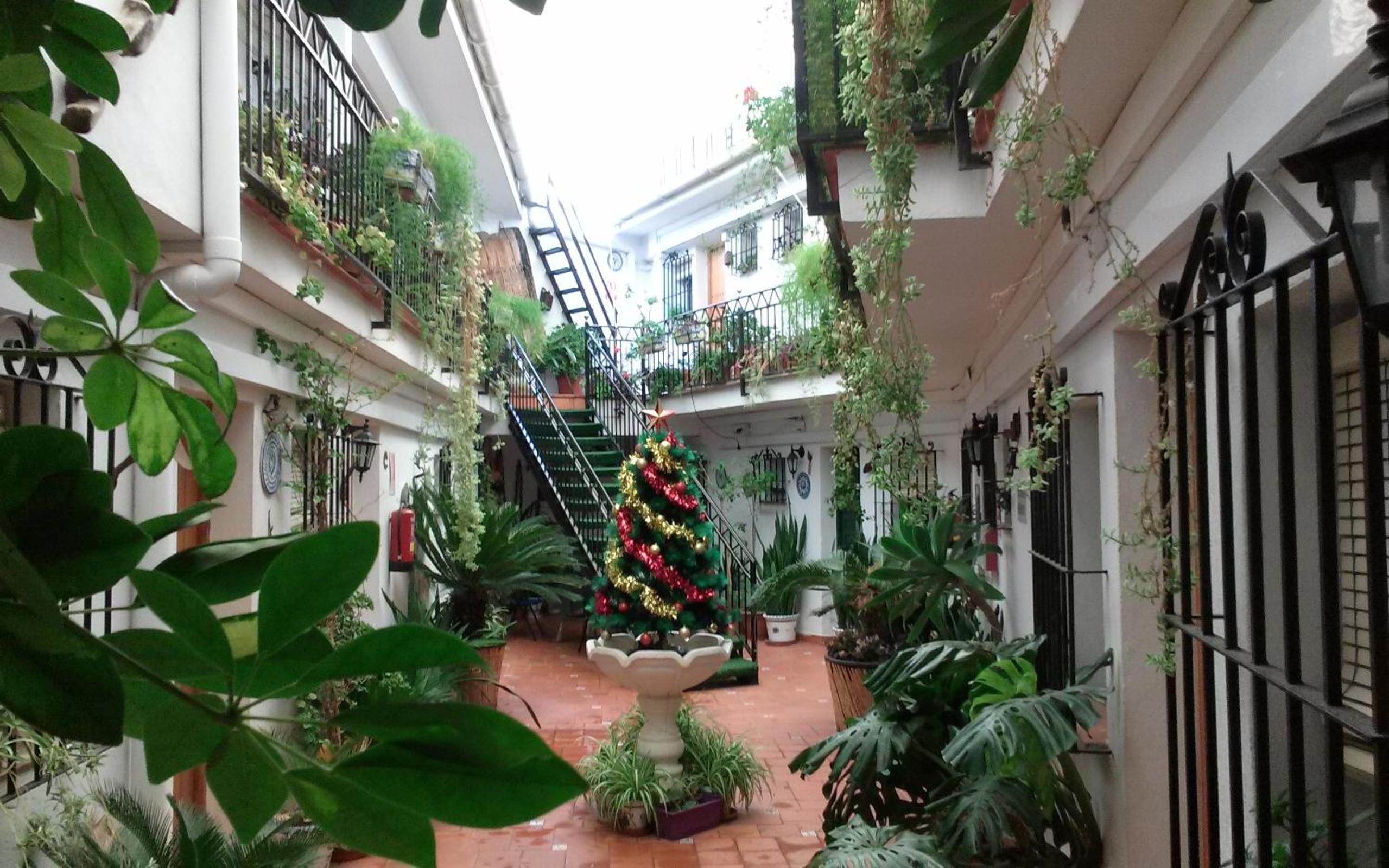 Hostal El Patio