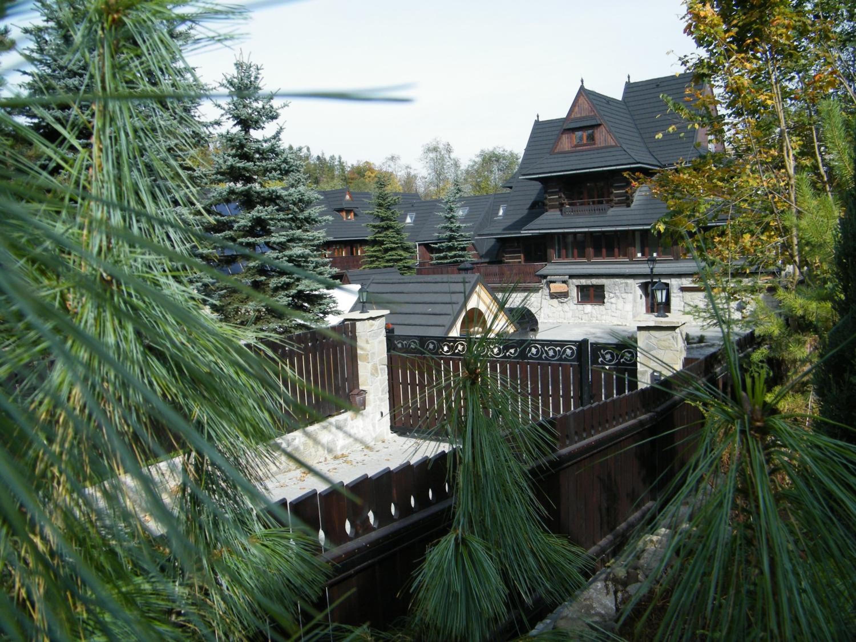 Photo 31