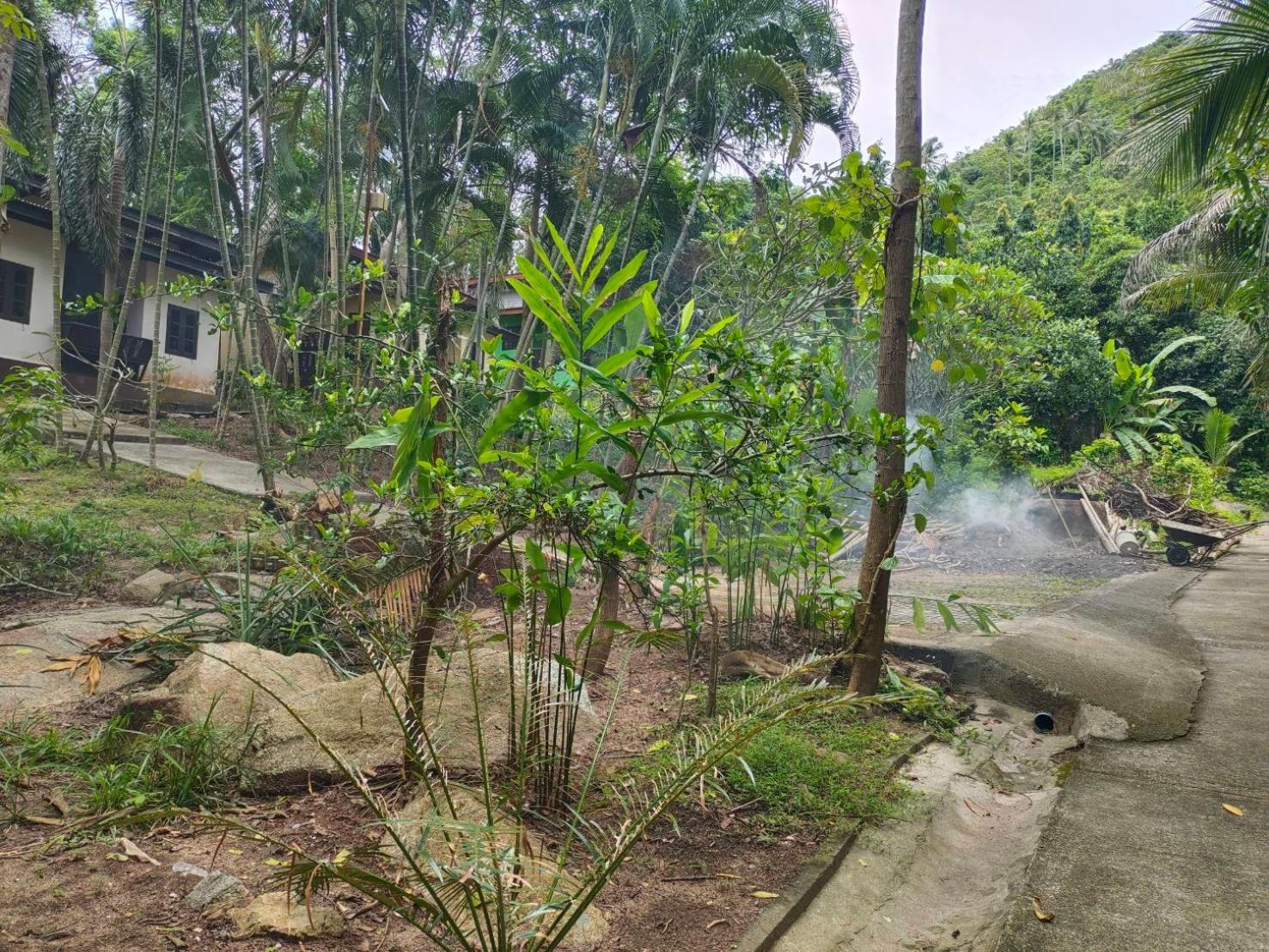 Wilai Villa Lamai