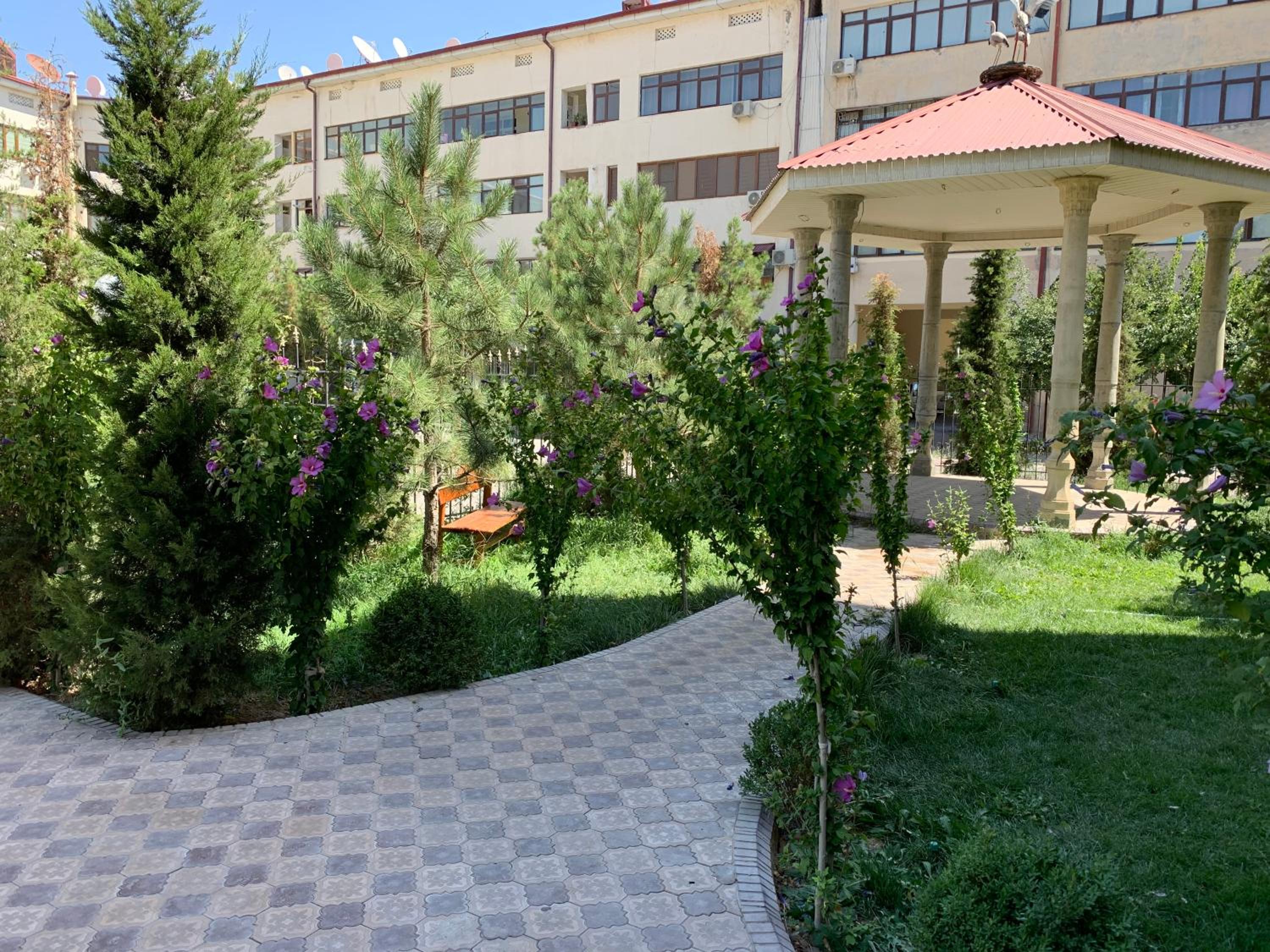Photo 18