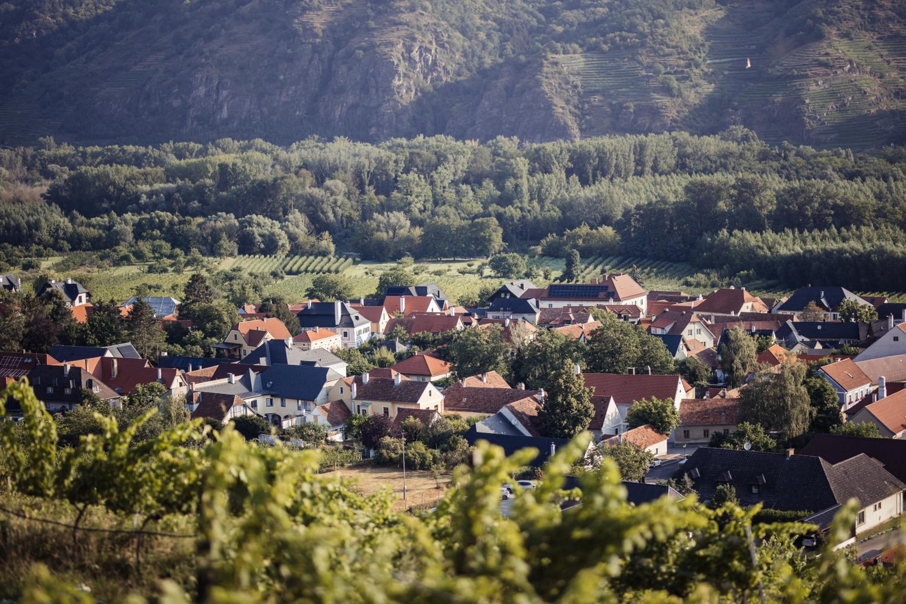 Wachau Supperer en Rossatz — other