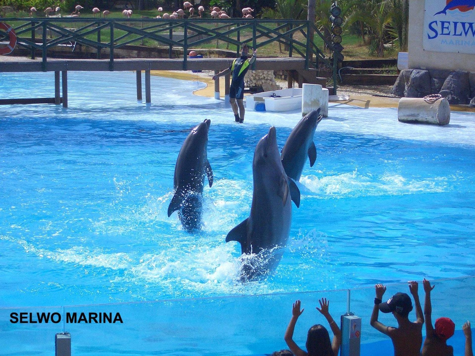 ESTUDIO JÚPITER BENALMÁDENA CERCA PLAYA