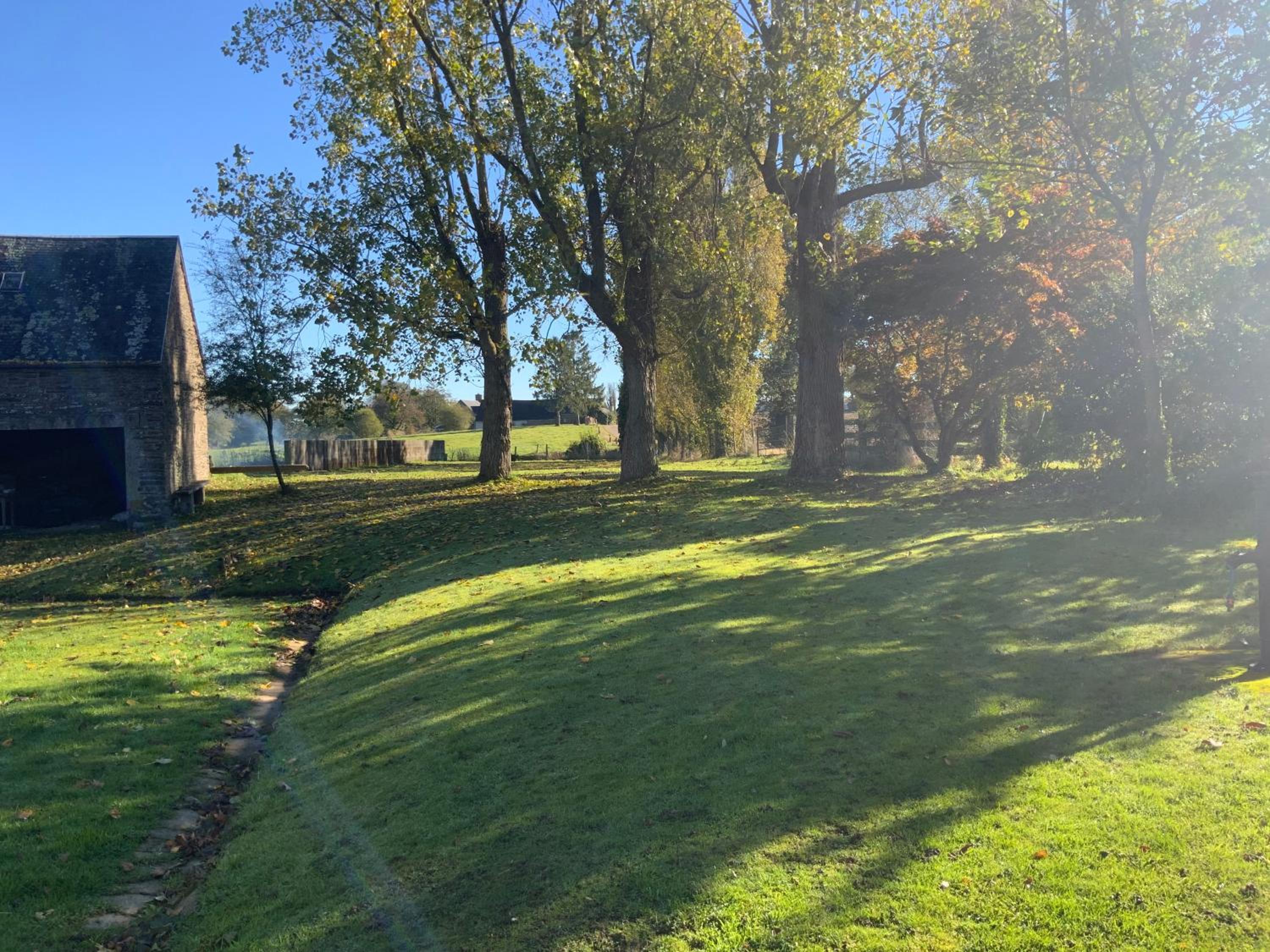 Photo 19