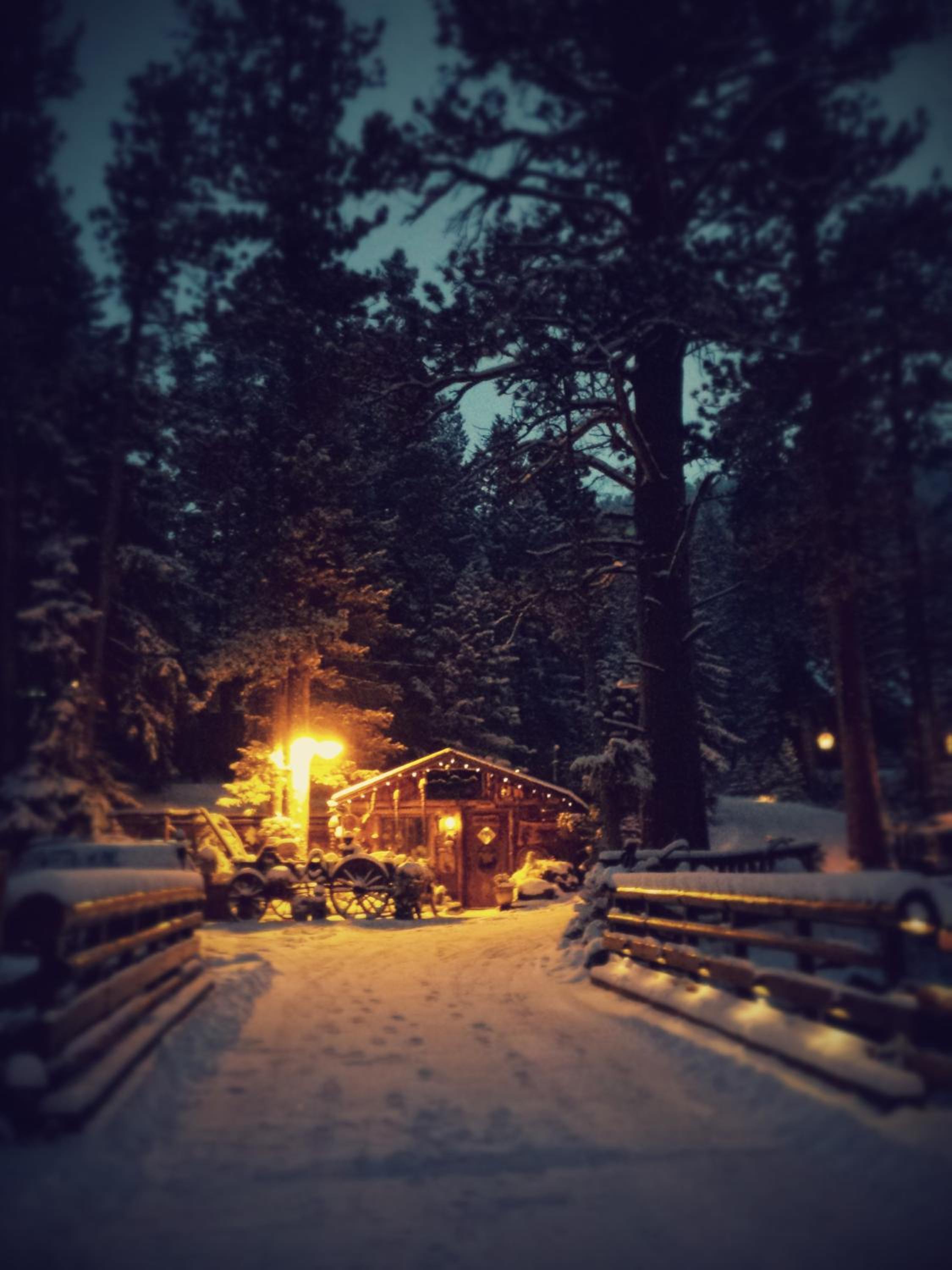 Pine Haven Resort