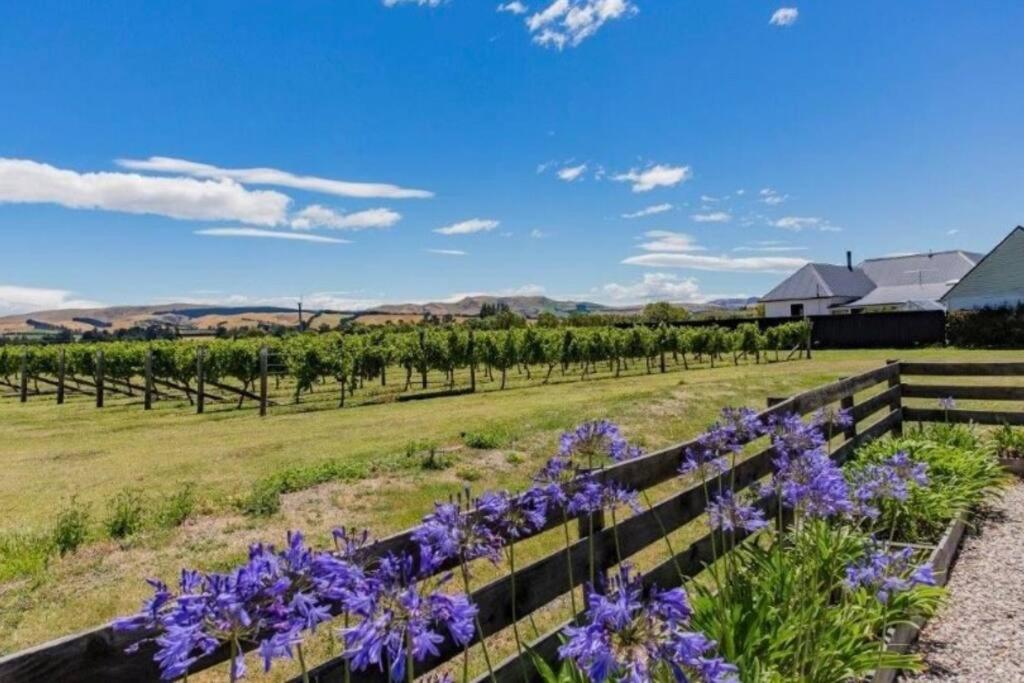 Cosy Cottage in the Vines view 5