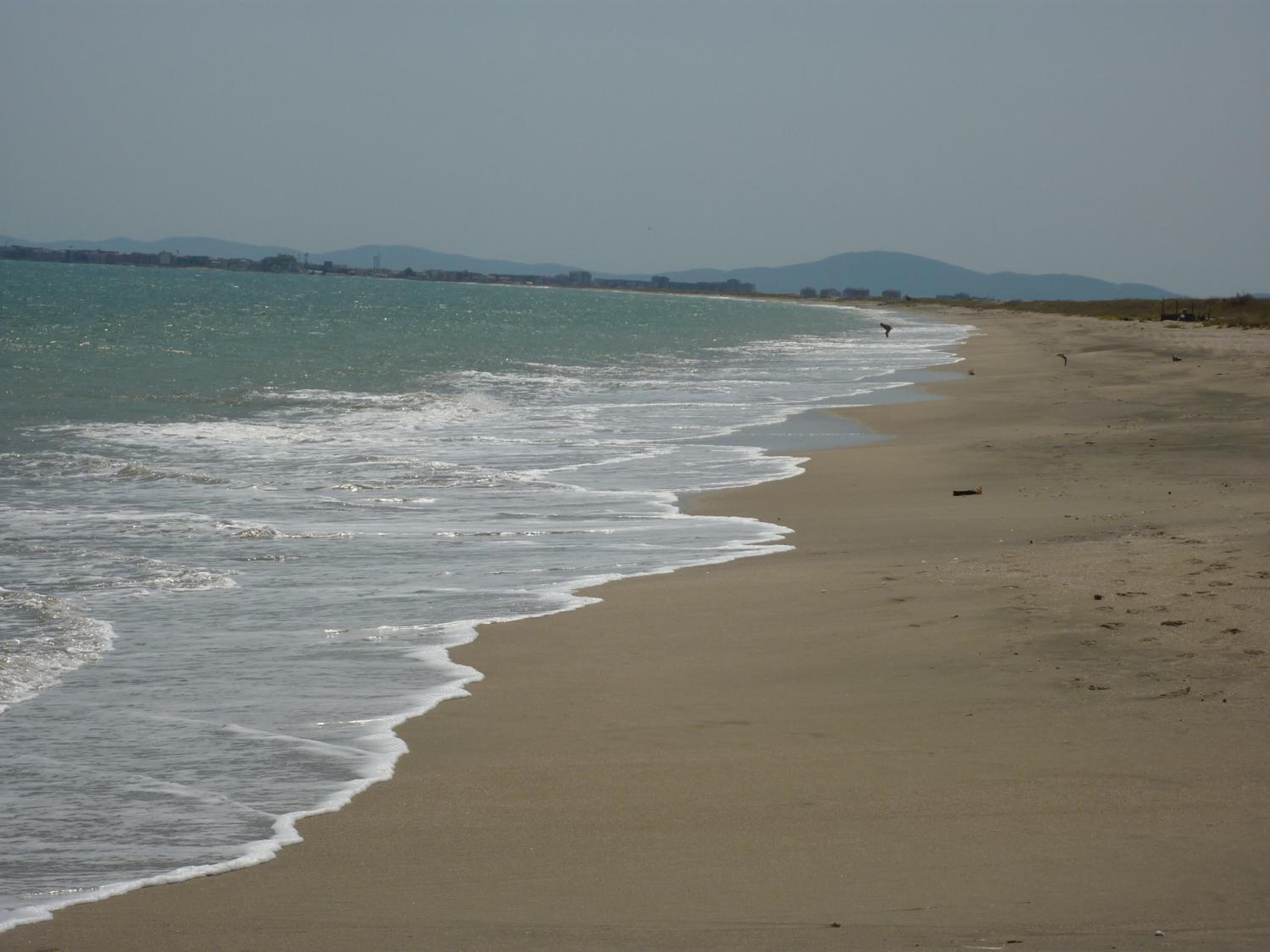 Photo 49