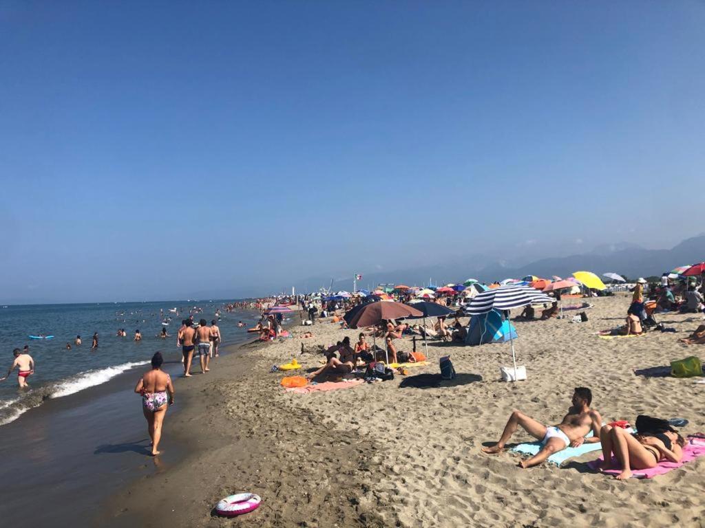 Viareggio Vacations - Mobile home Viareggio - Camping Paradiso- Including airco -Zona Gialla 016 - Property Image 7