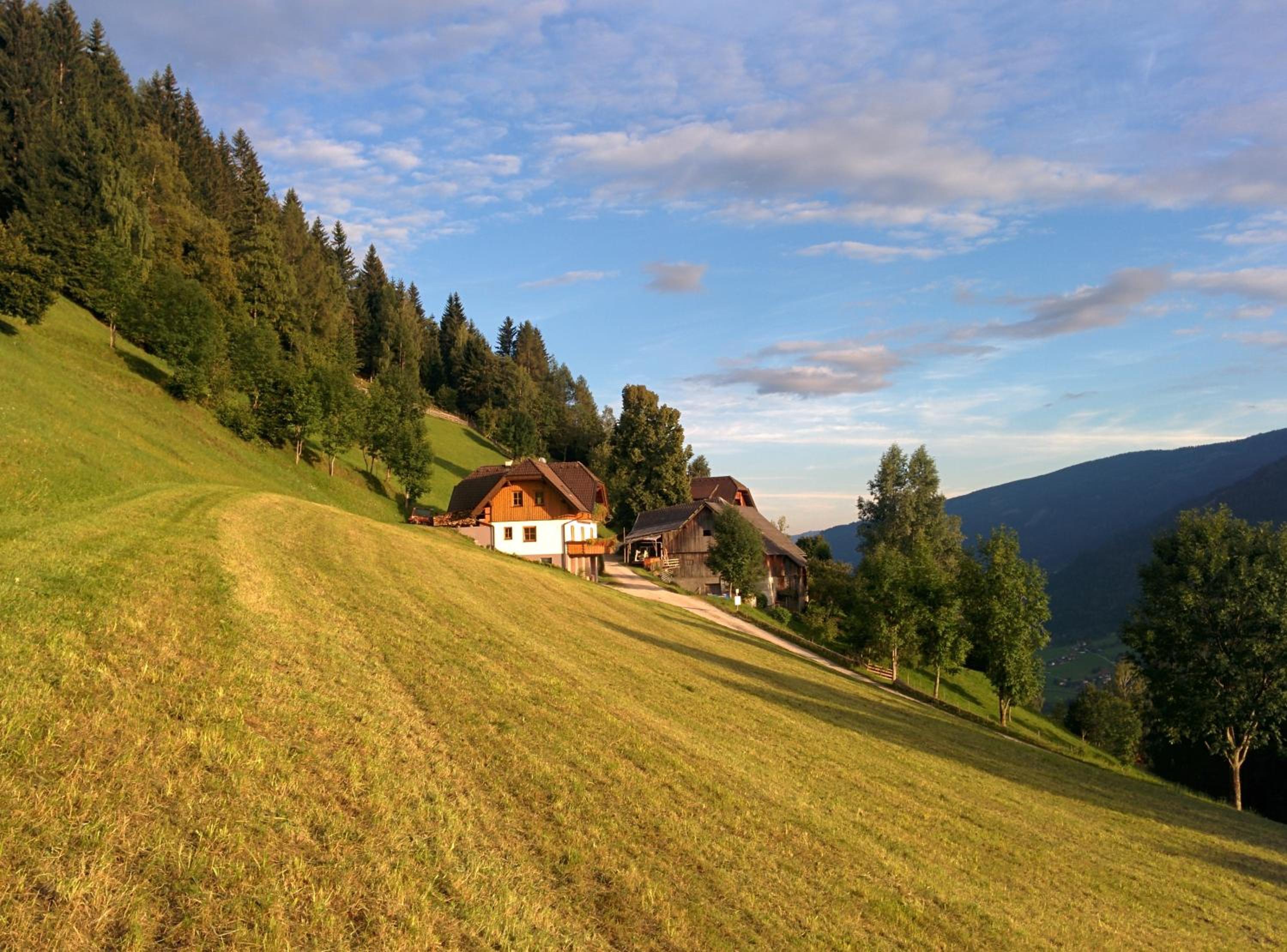 Lercherhof view 5