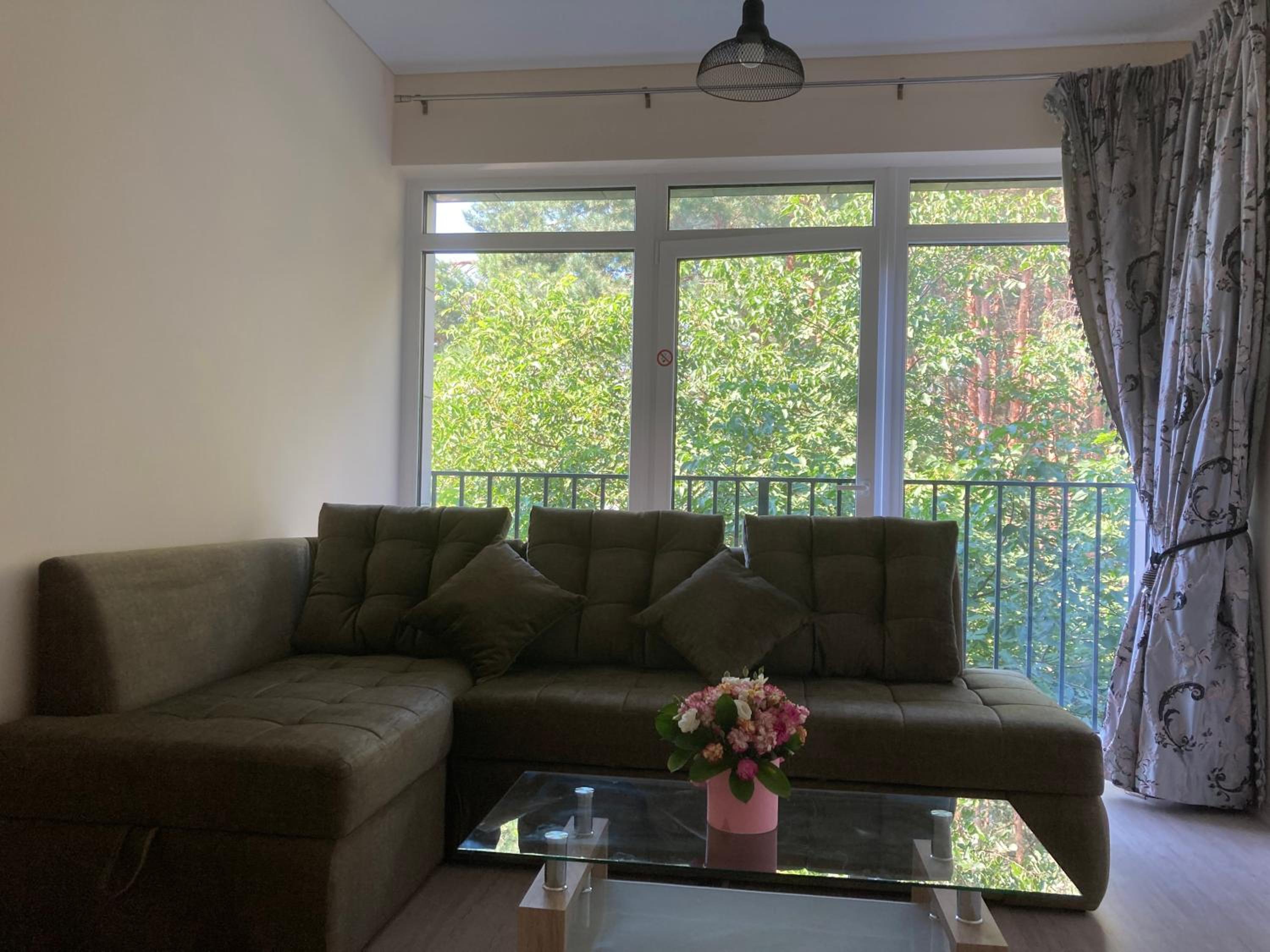 Lazdyneliu Apartamentai view 2
