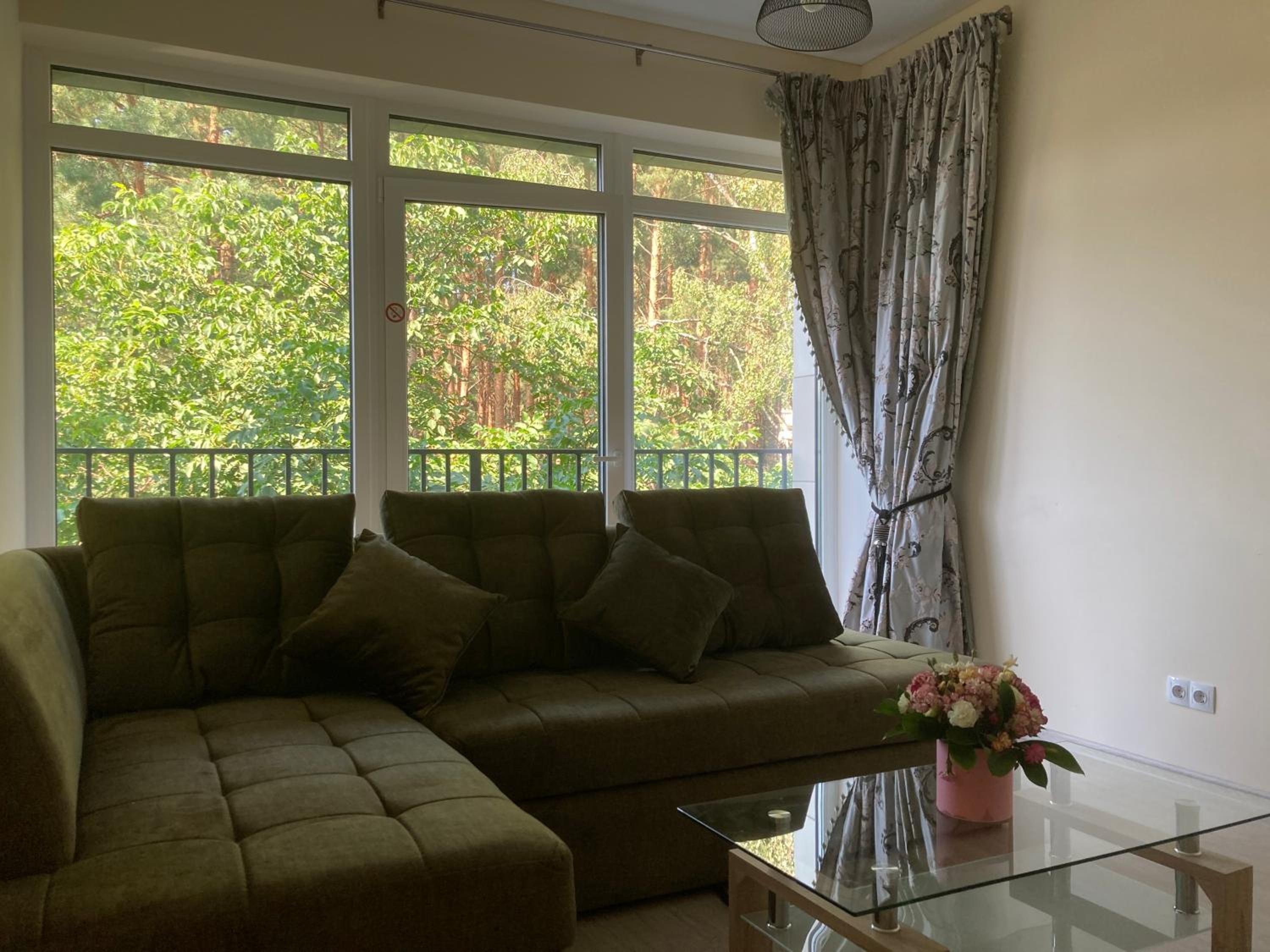 Lazdyneliu Apartamentai view 5