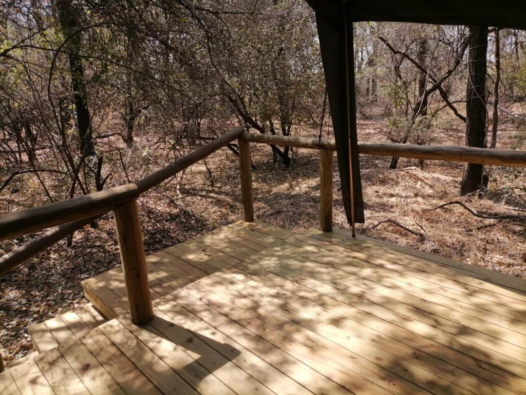 ASKIESBOS - Samochima Bush Camp
