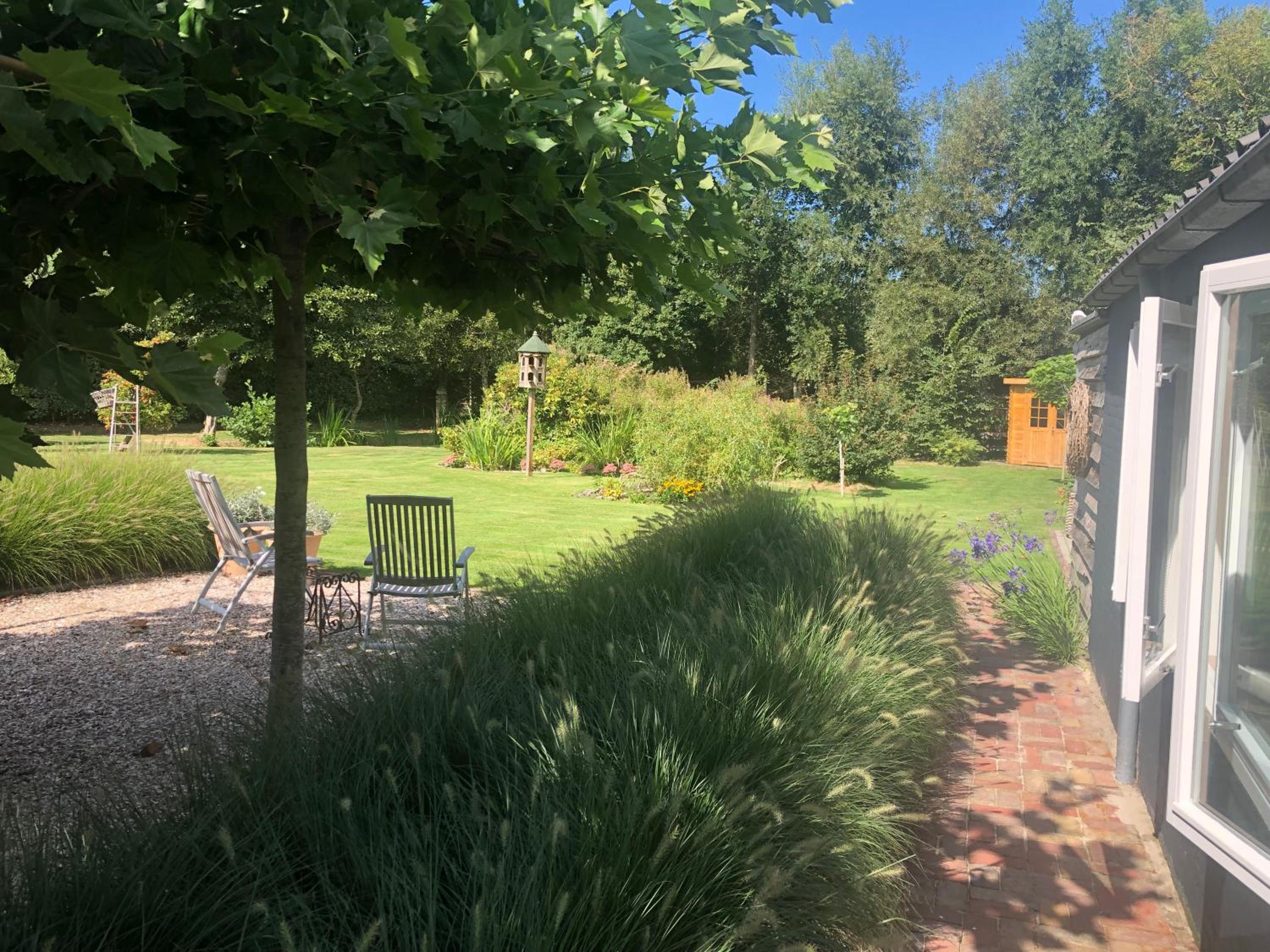 Photo 19