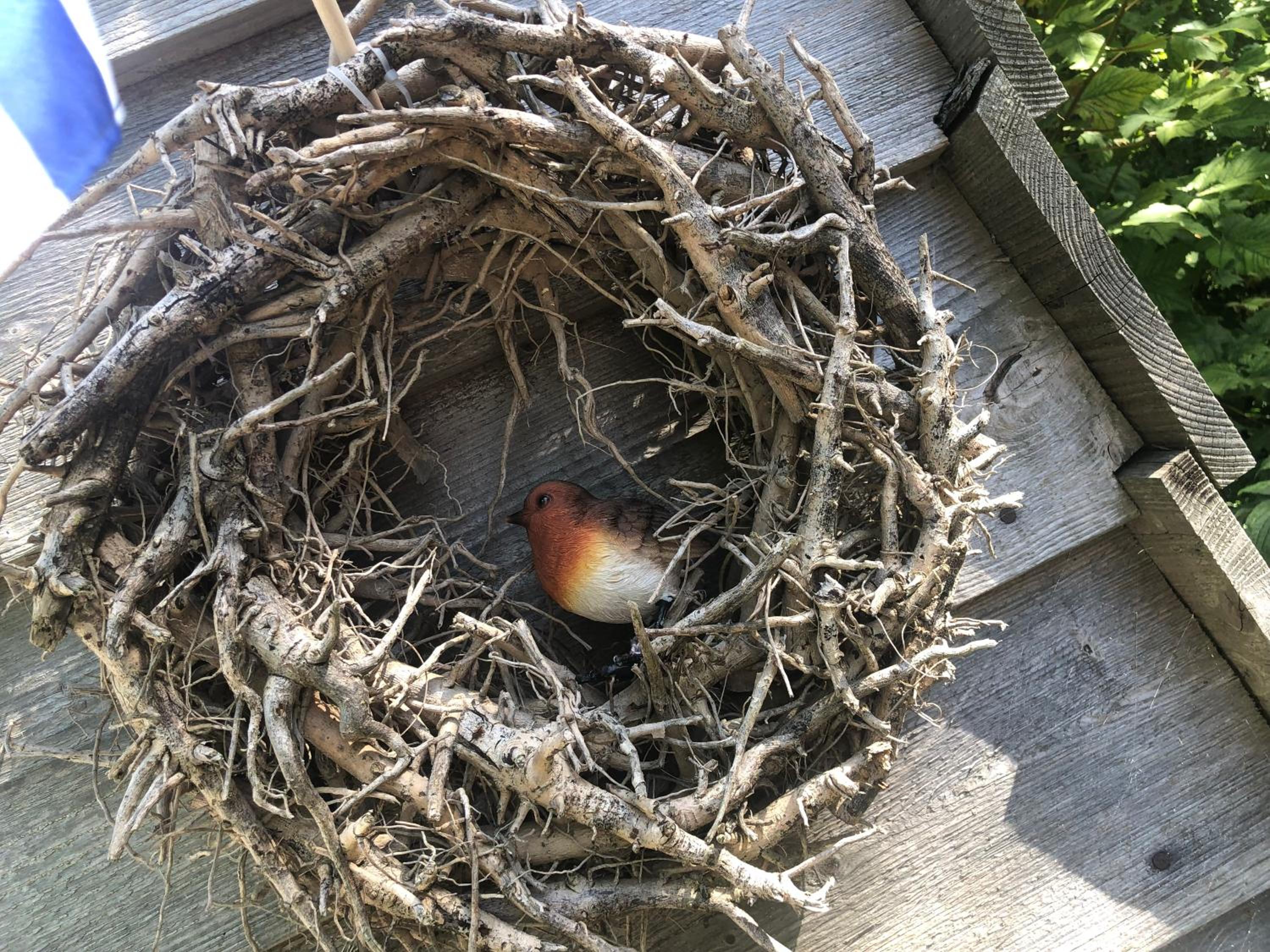 Photo 21