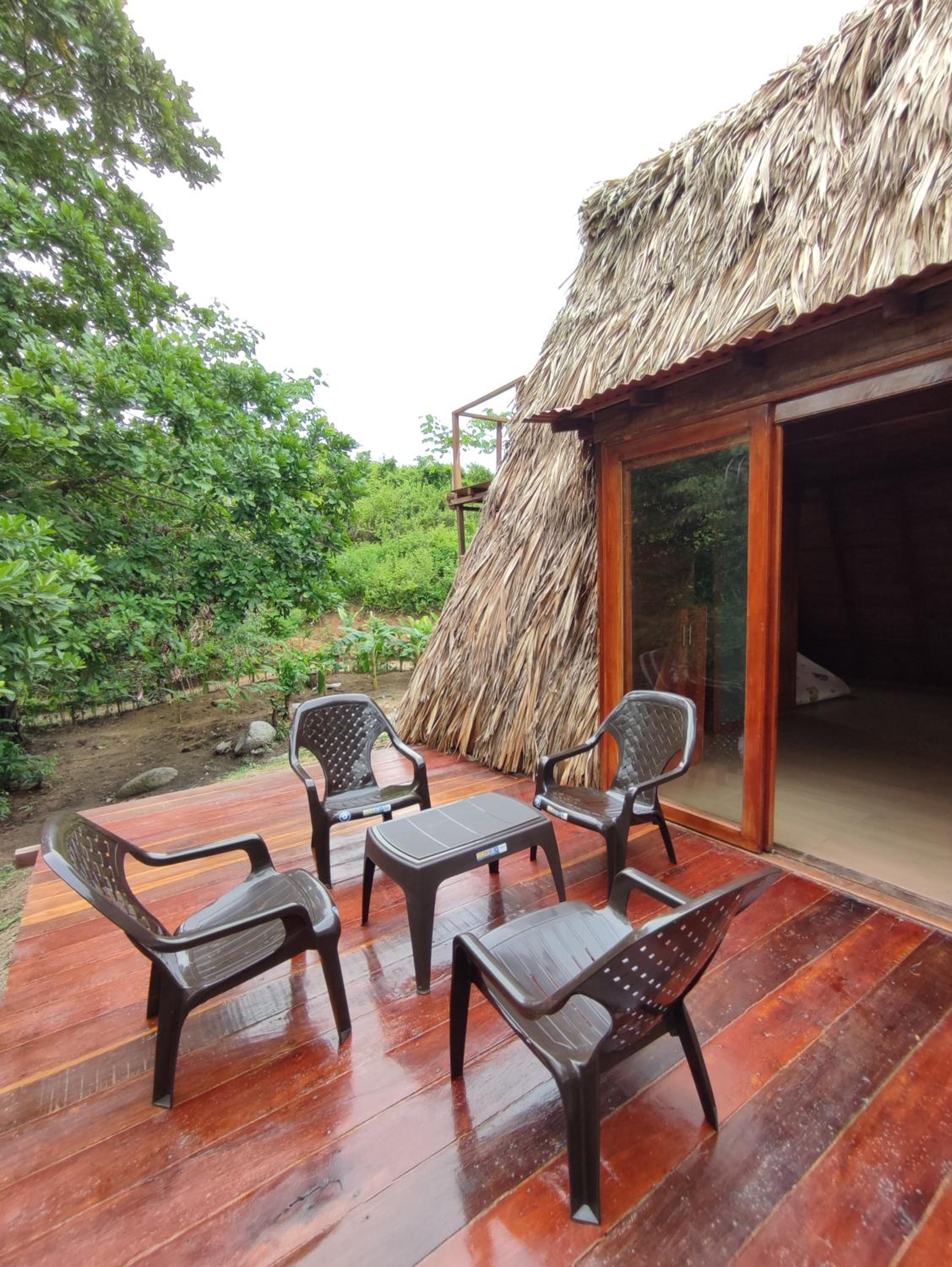 Photo 62