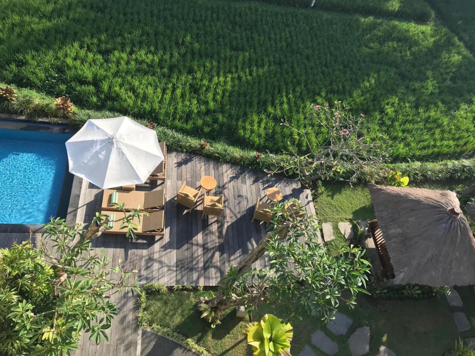 Byasa Ubud
