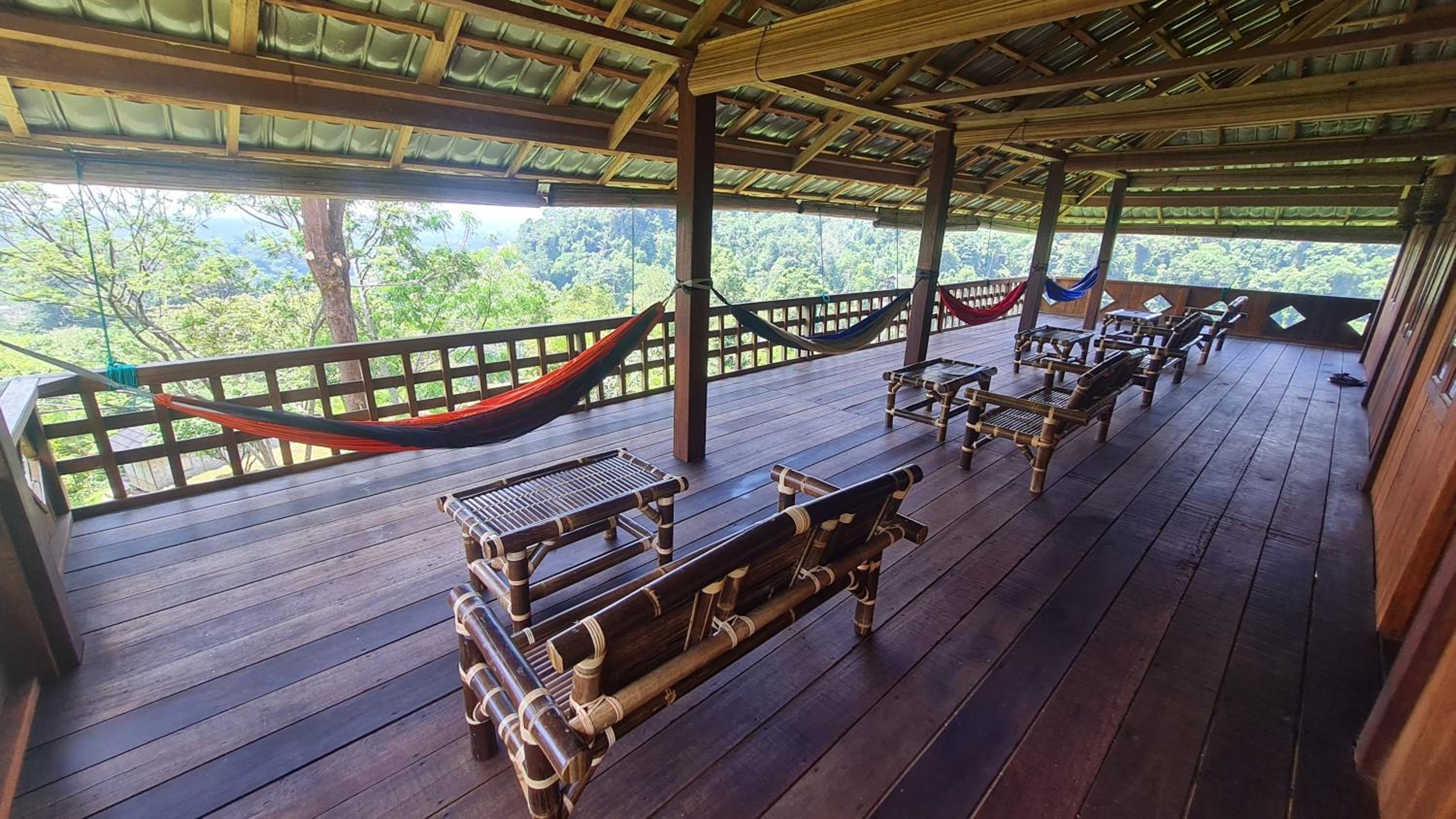 Bukit Lawang Hill Resort view 2