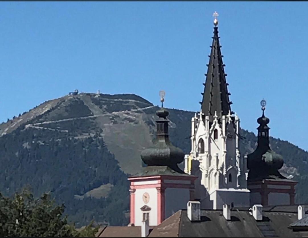 Photo 46
