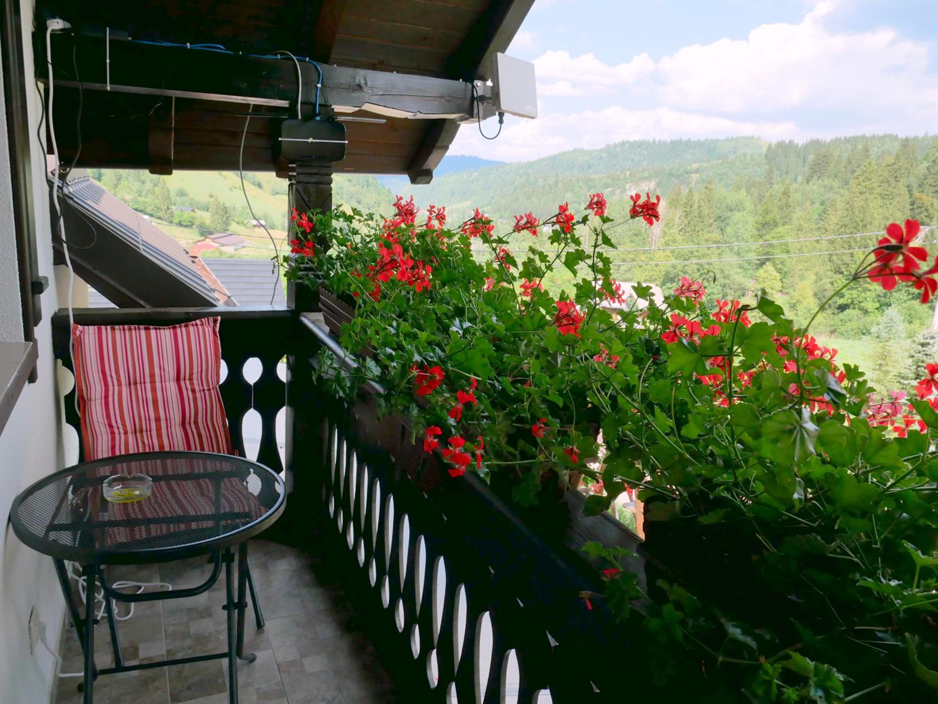 Photo 56
