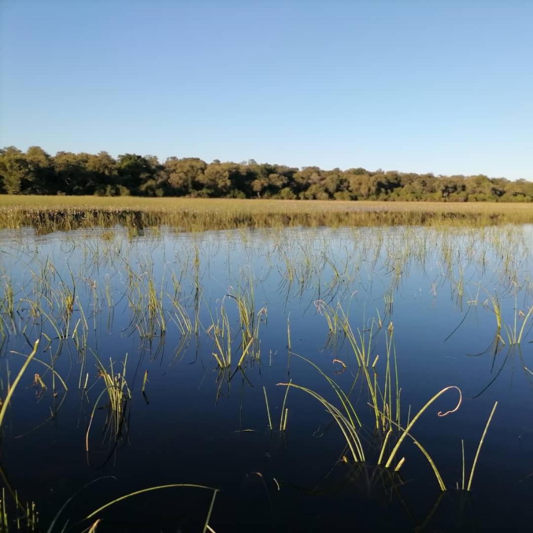 ASKIESBOS - Samochima Bush Camp